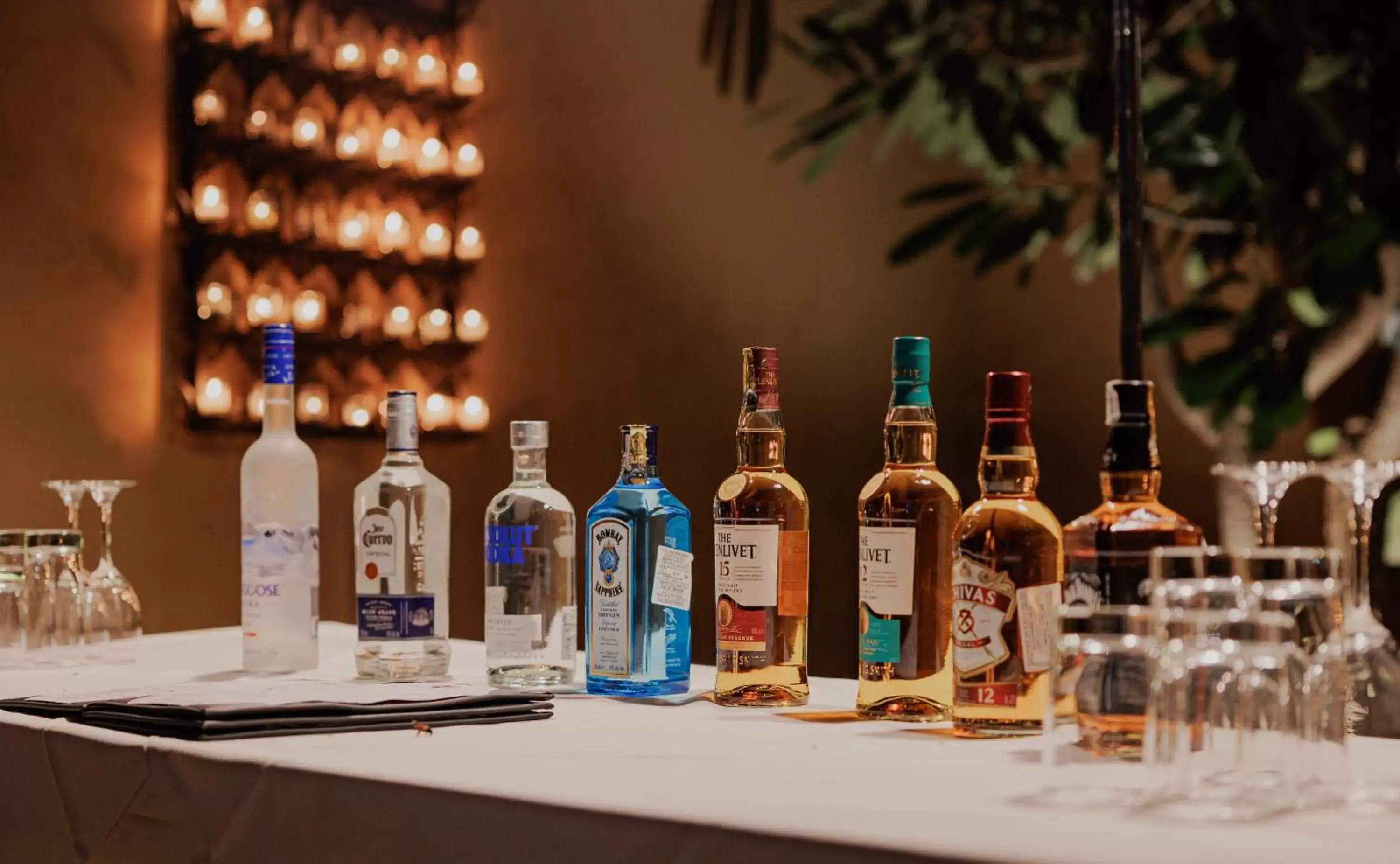 Lounge or bar in Ajit Bhawan - A Palace Resort Lounge or bar in Ajit Bhawan - A Palace Resort