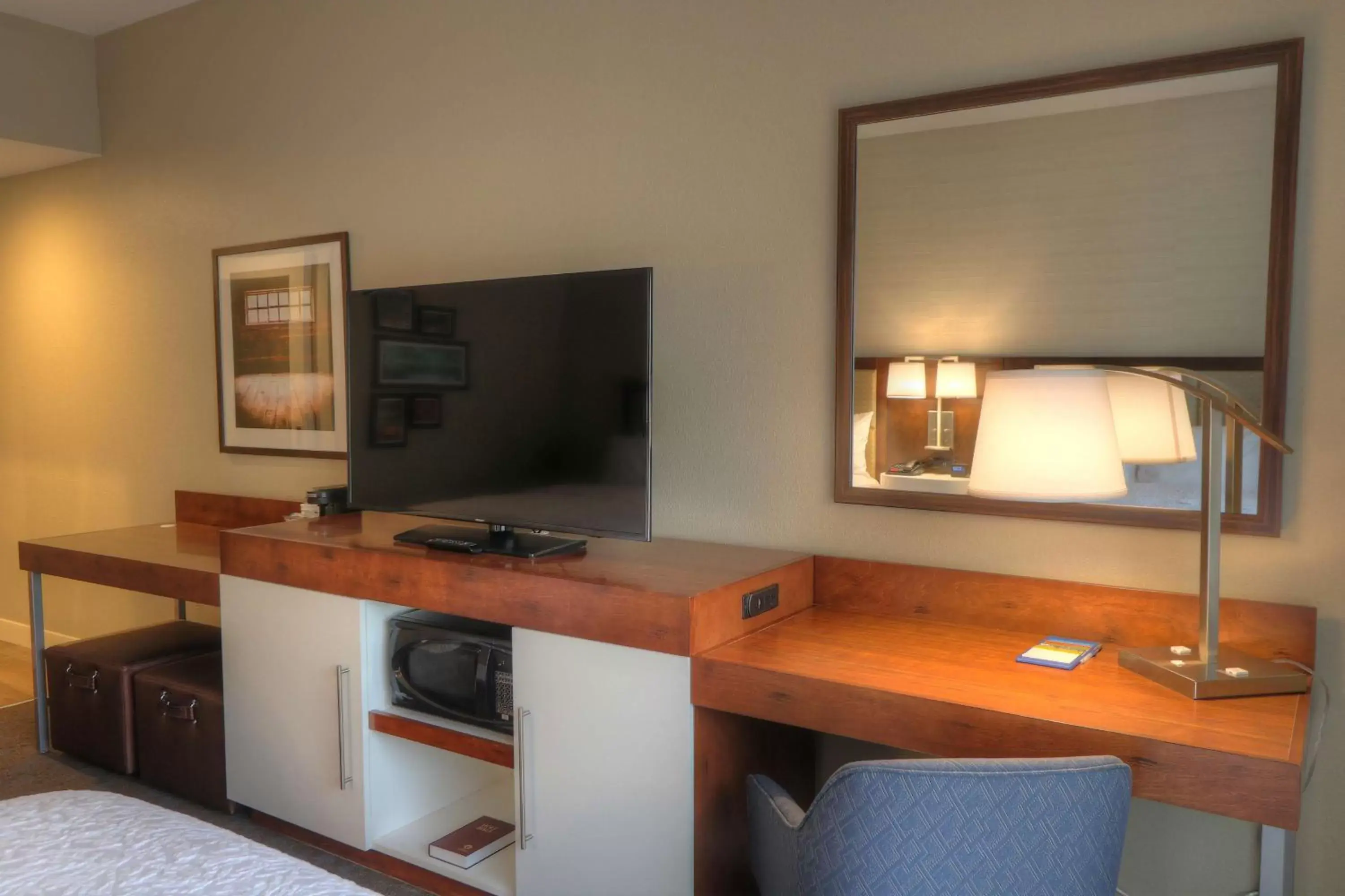 Bedroom, TV/Entertainment Center in Hampton Inn Gatlinburg Historic Nature Trail, Tn