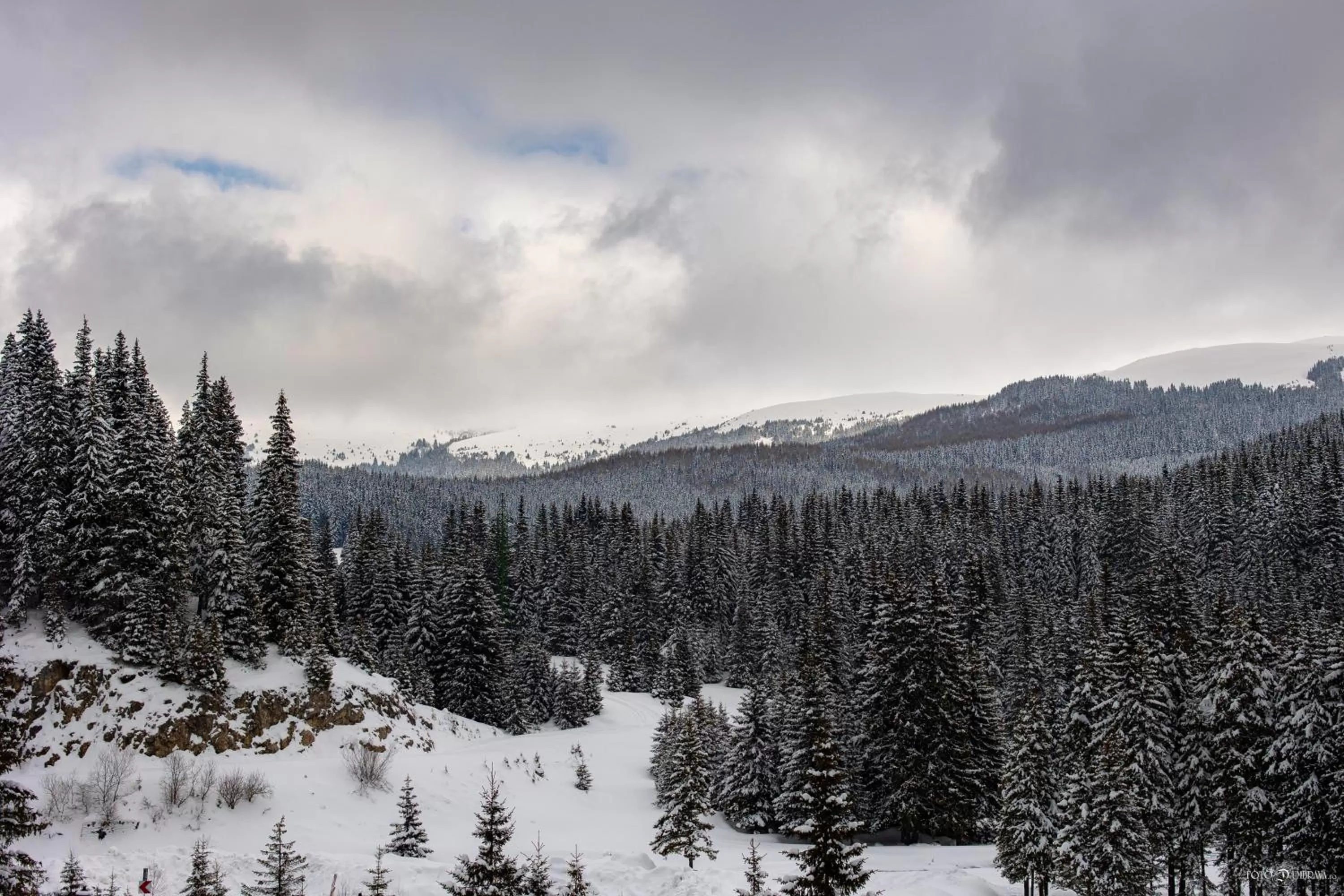 Nearby landmark, Winter in Hotel Belmont