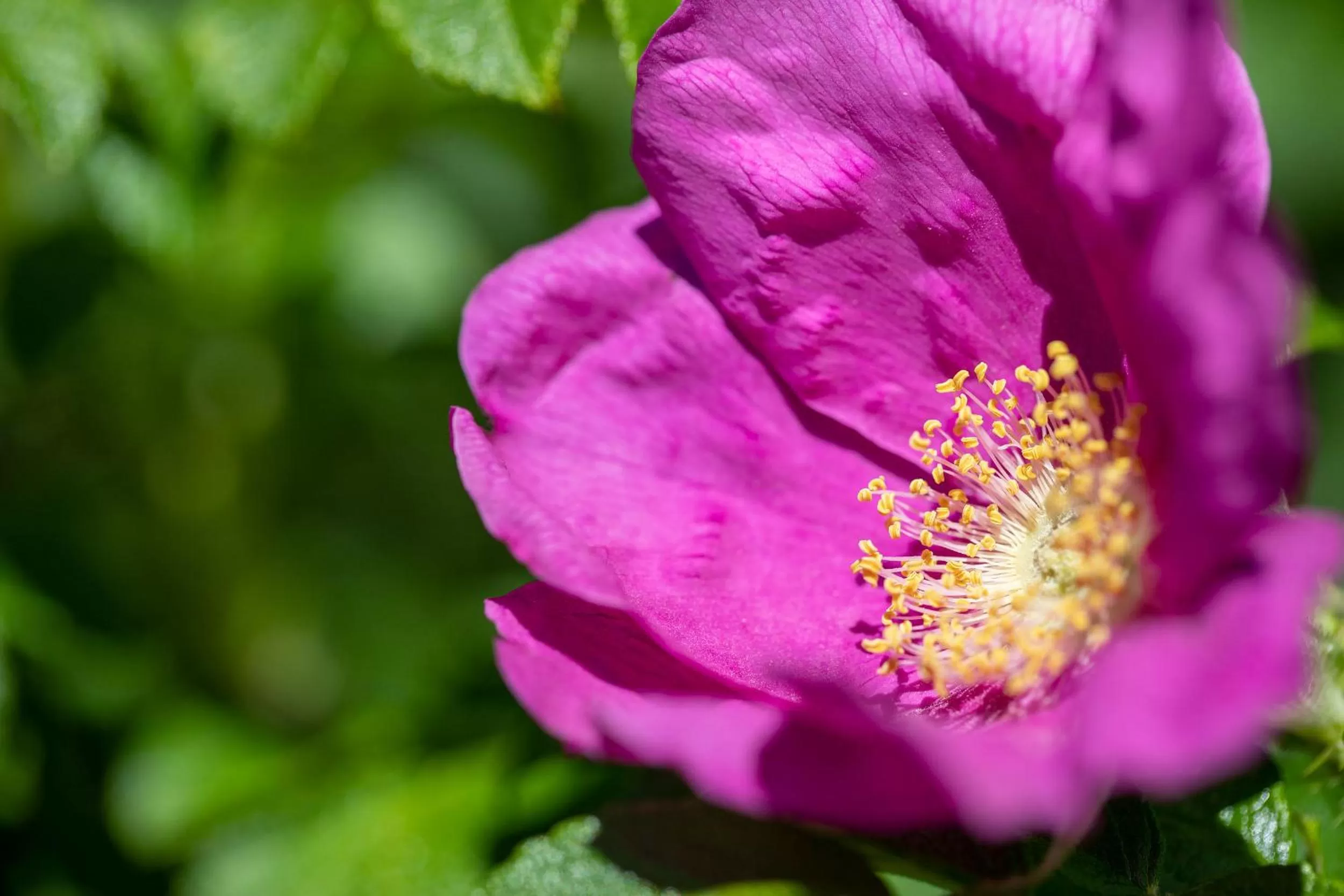 Property building in West Point House