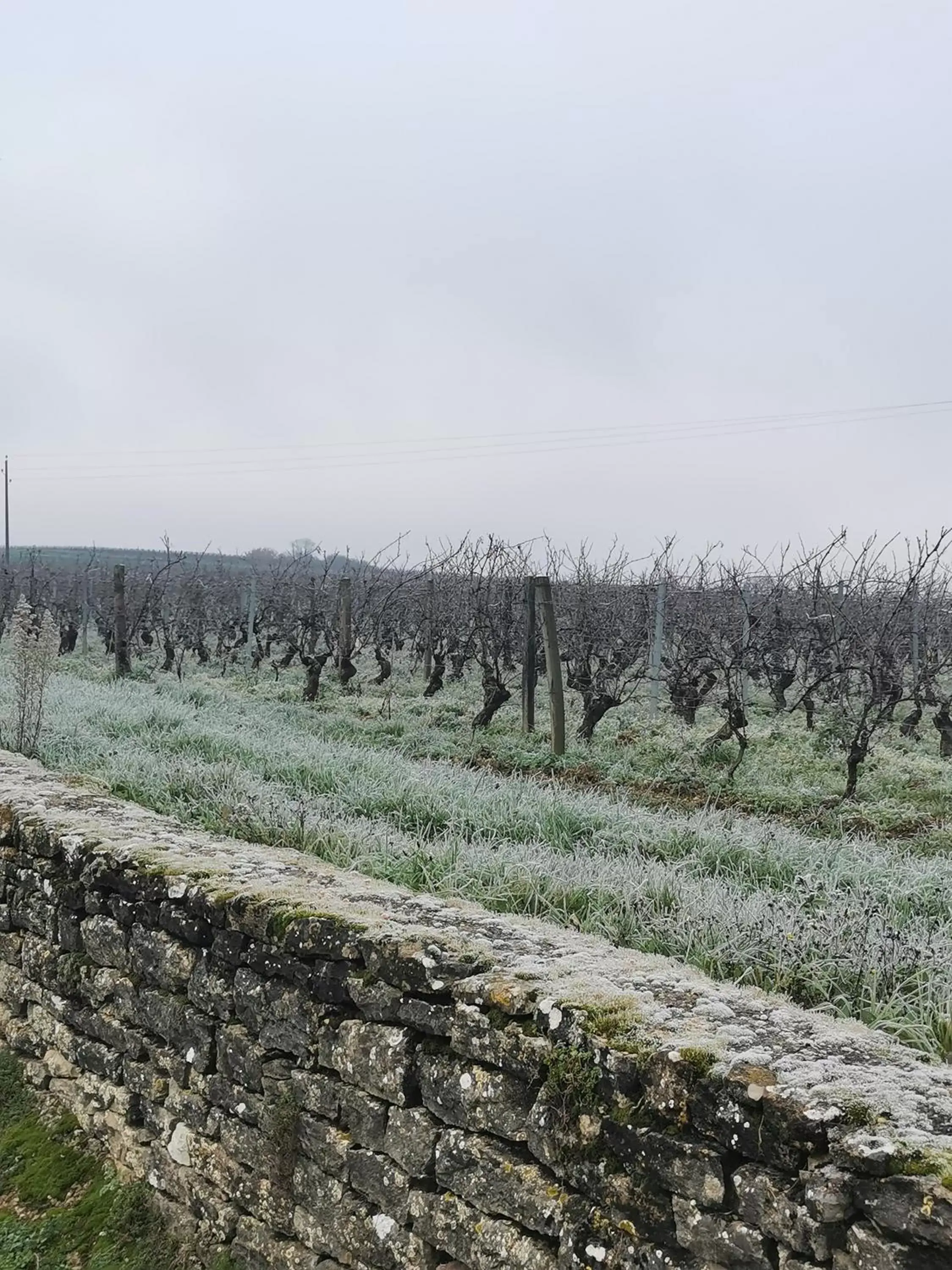 Natural landscape in Au Jardin des Deux Roches