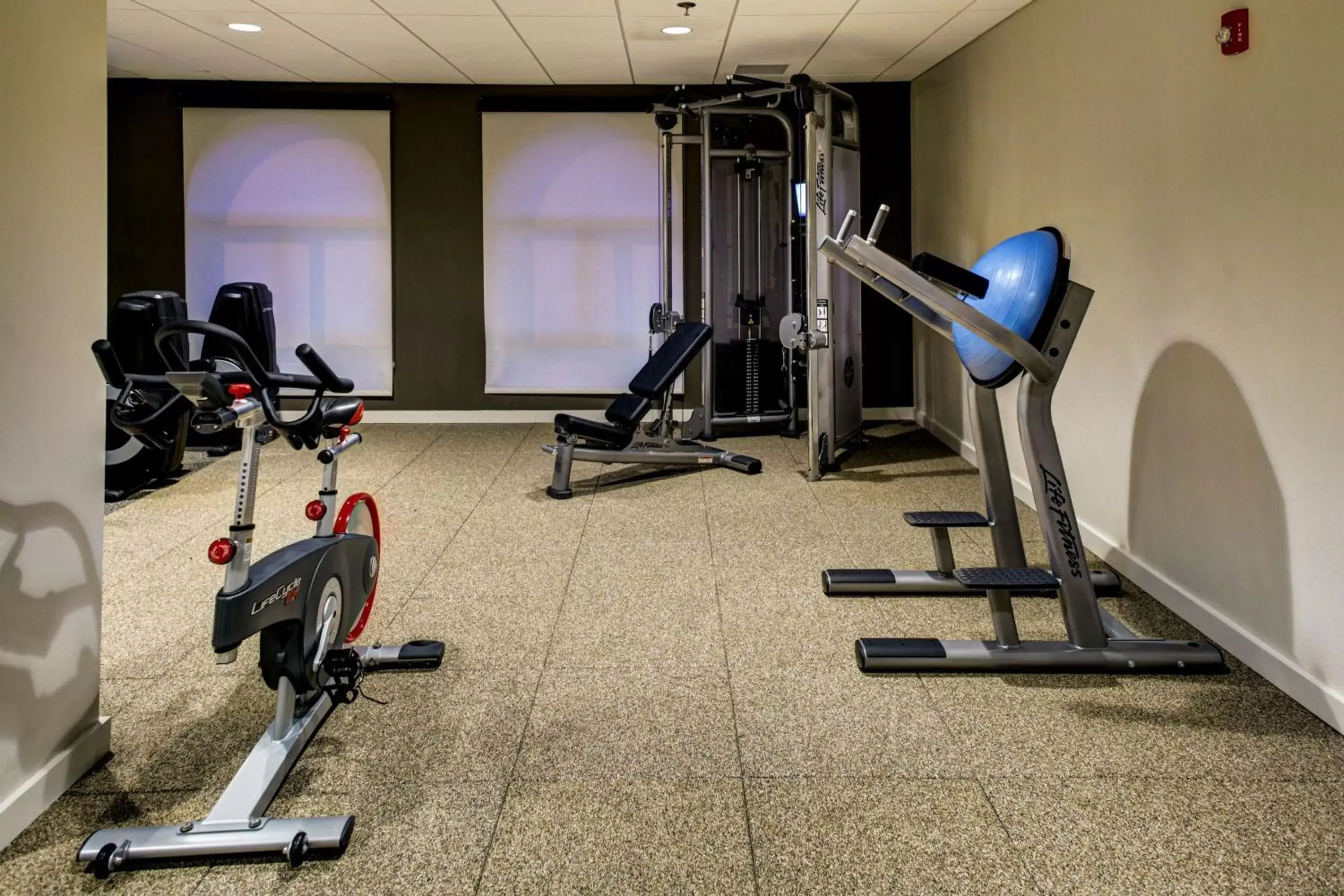 Fitness centre/facilities, Fitness Center/Facilities in Embassy Suites Williamsburg