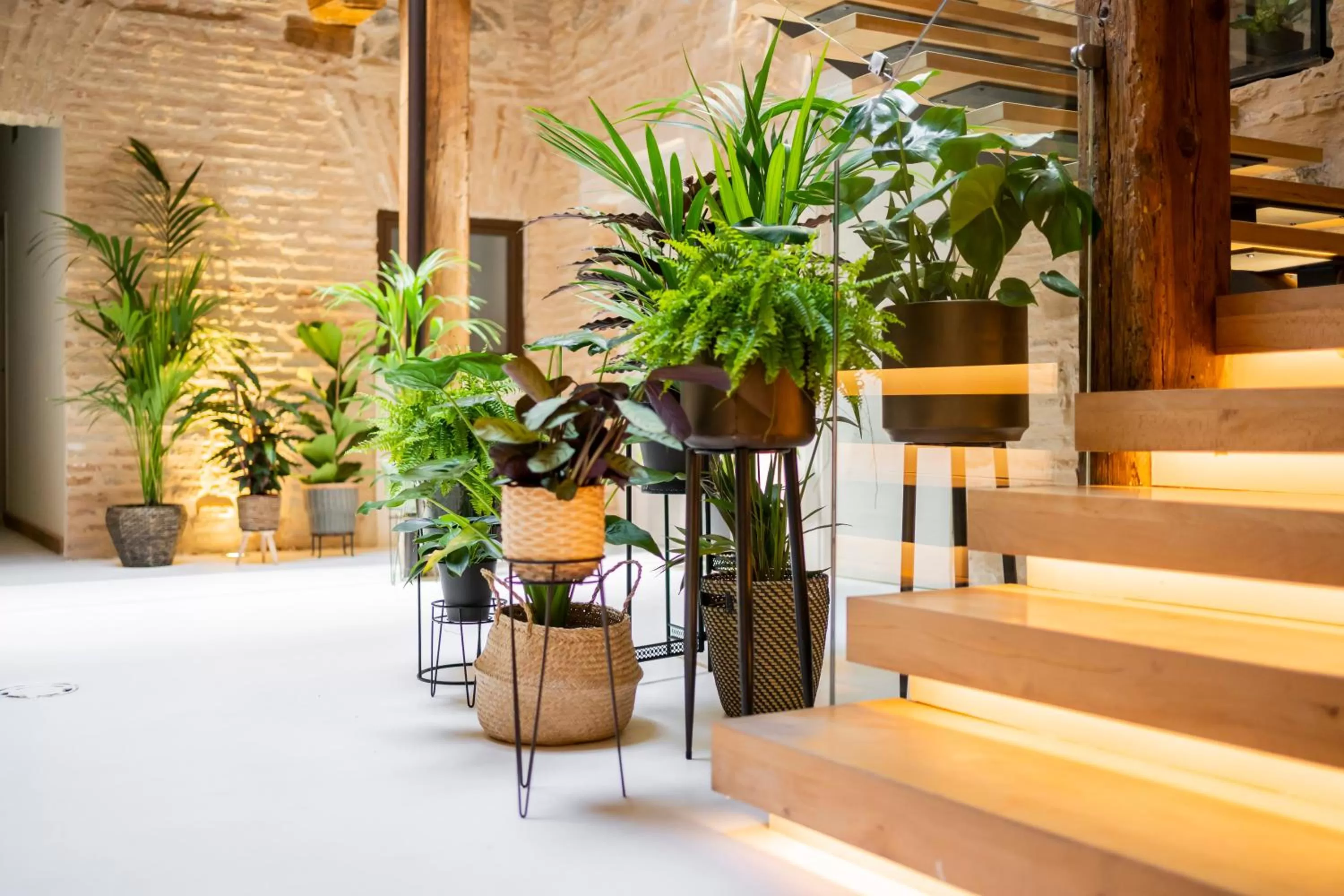 Property building in Dobo Azacanes Hostal