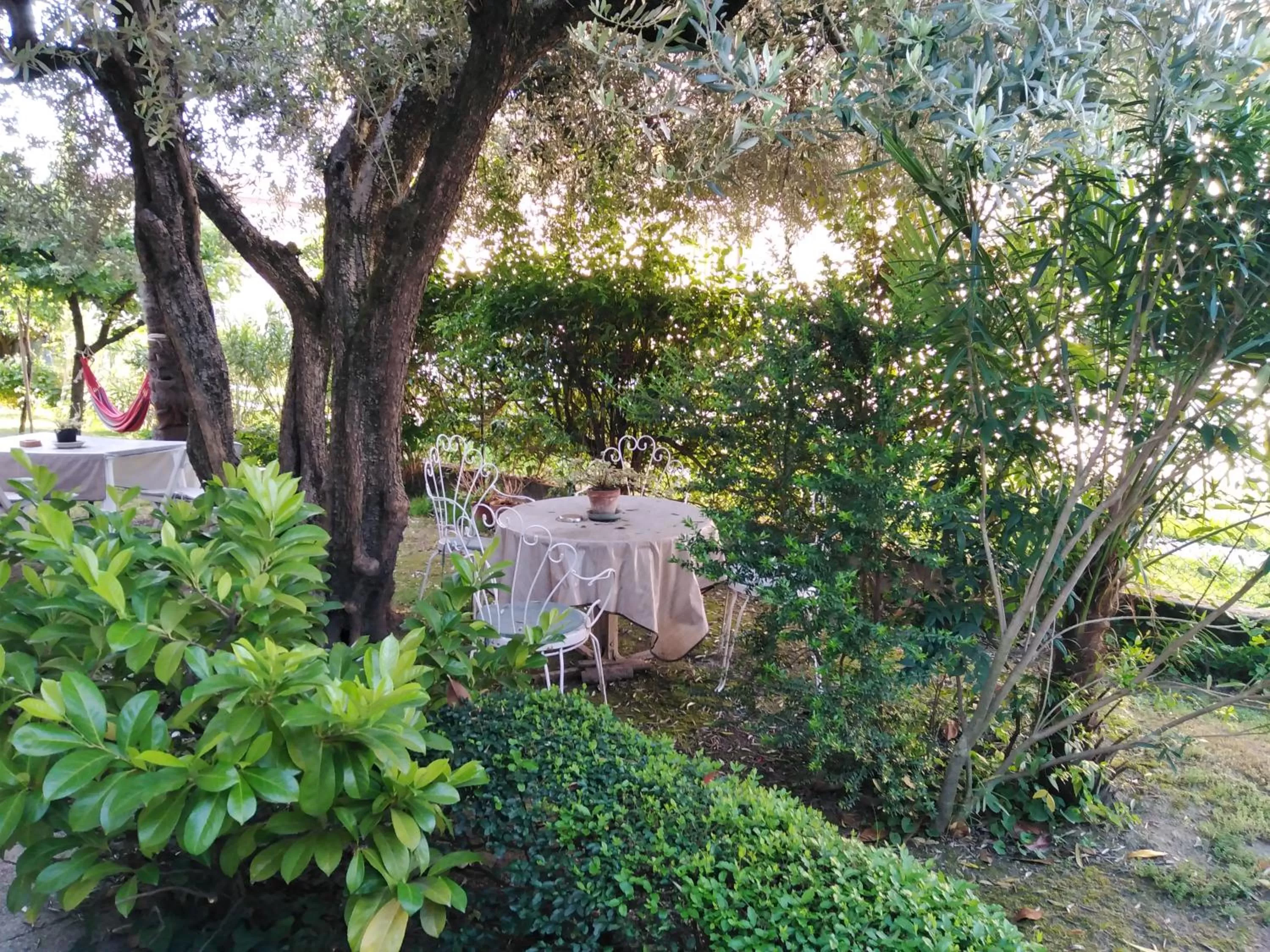 Garden in Casa Irene
