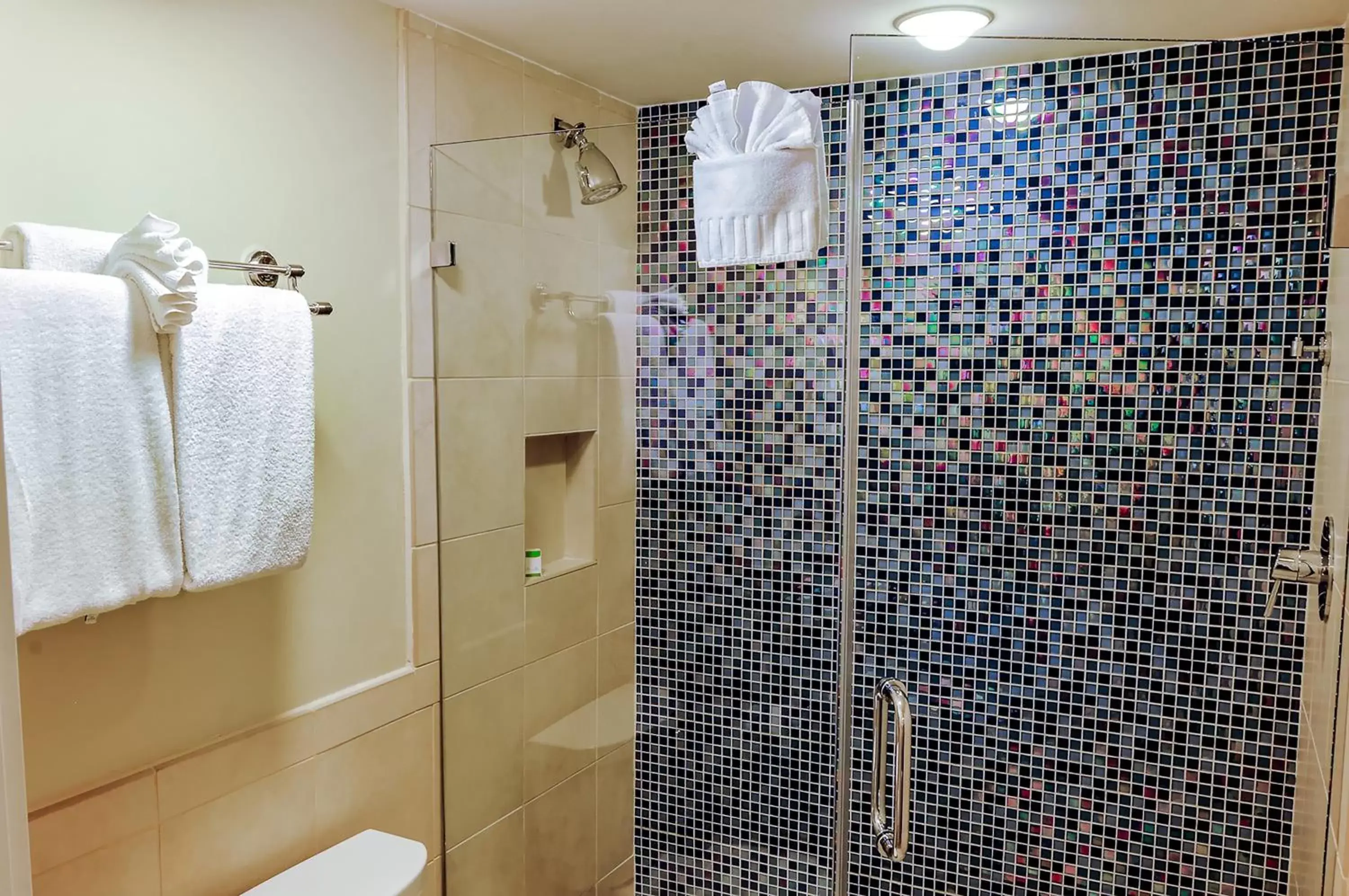 Shower, Bathroom in Silver Palms Inn