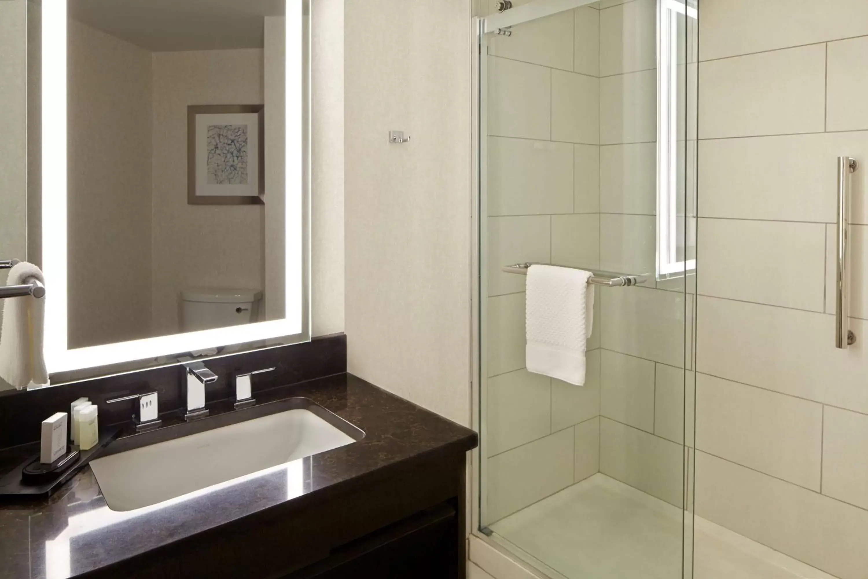 Bathroom in Embassy Suites by Hilton Atlanta Galleria