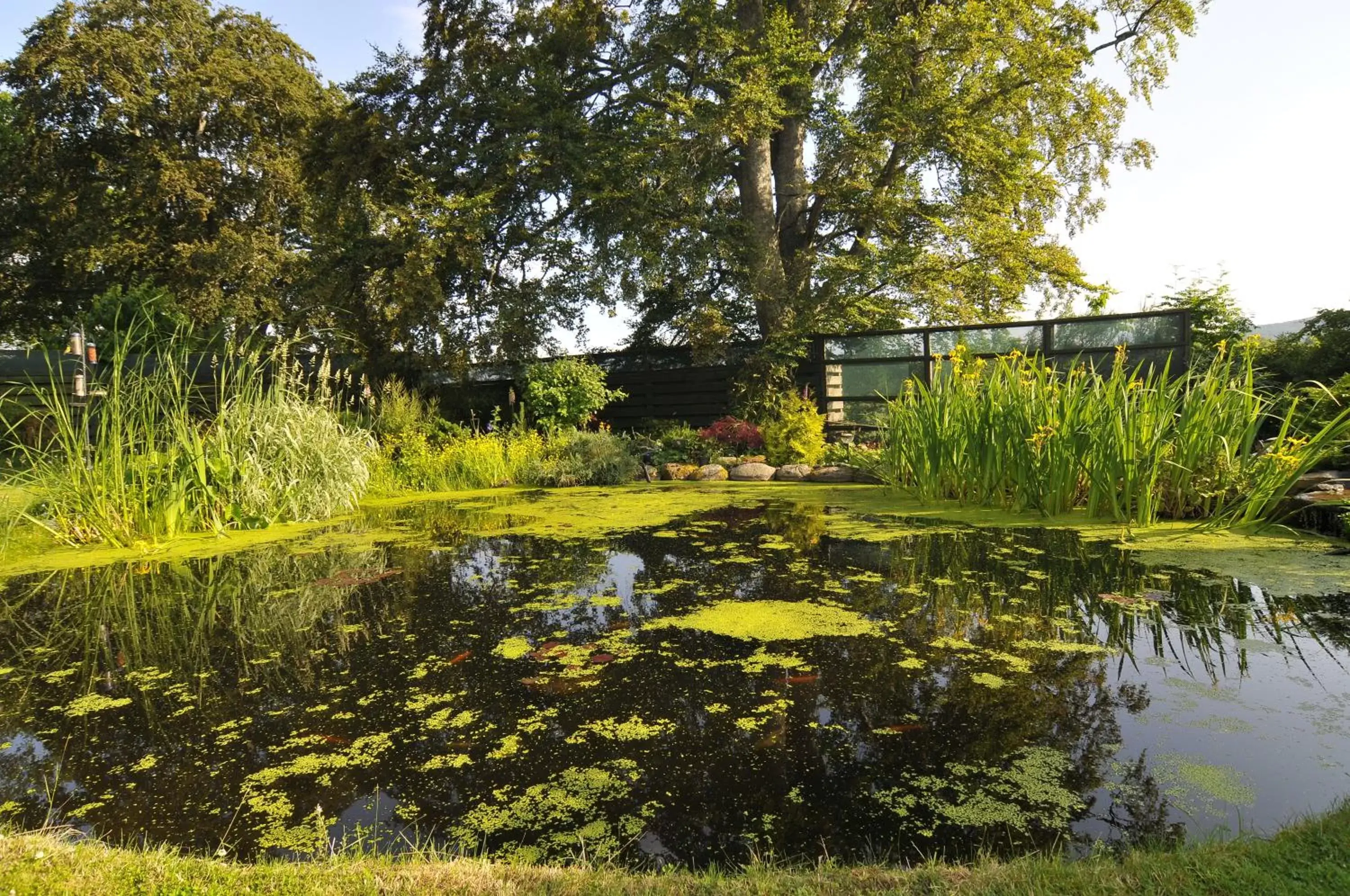 Garden in Home Farm Bed and Breakfast