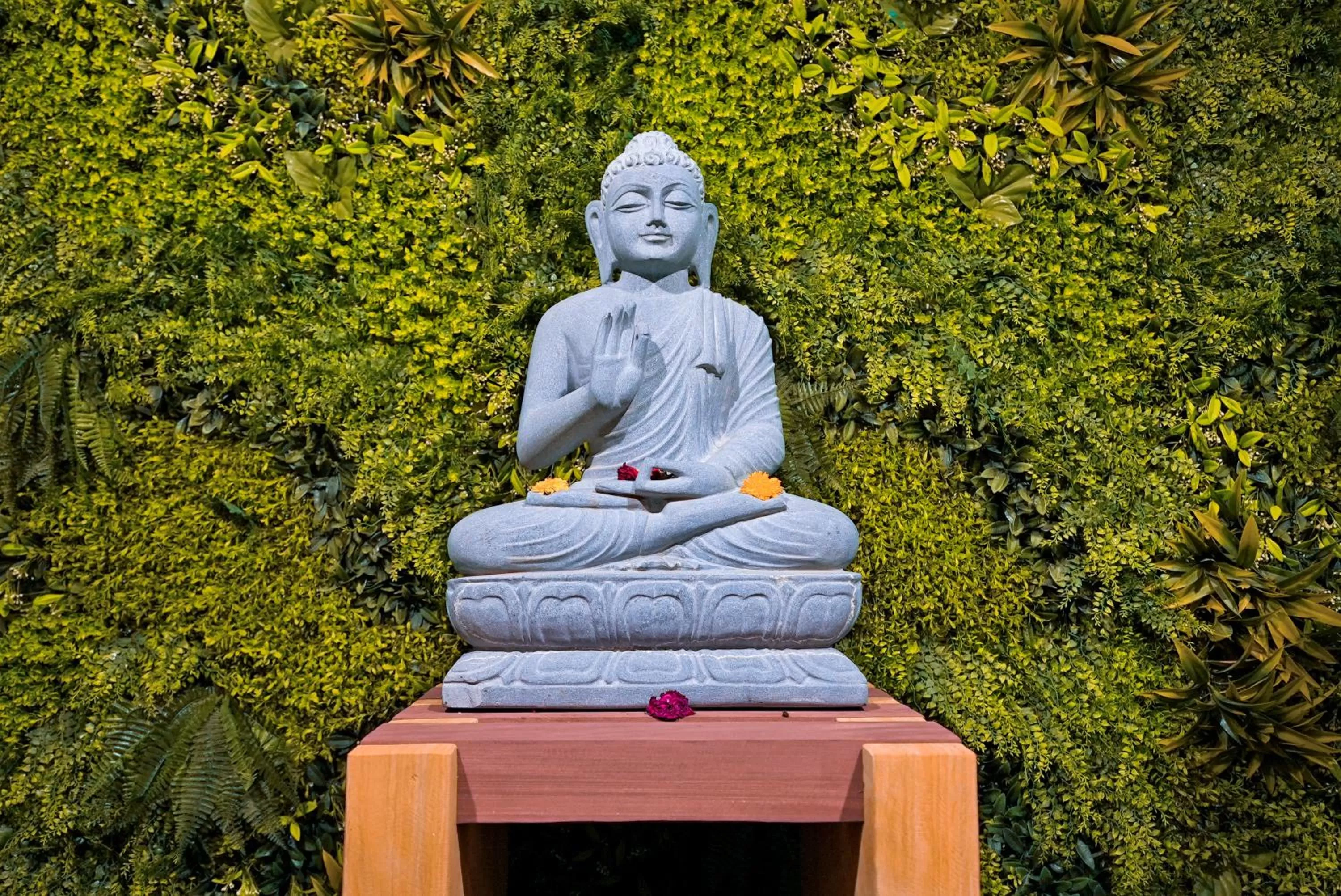 Mountain view in Eden Park Boutique Hotel