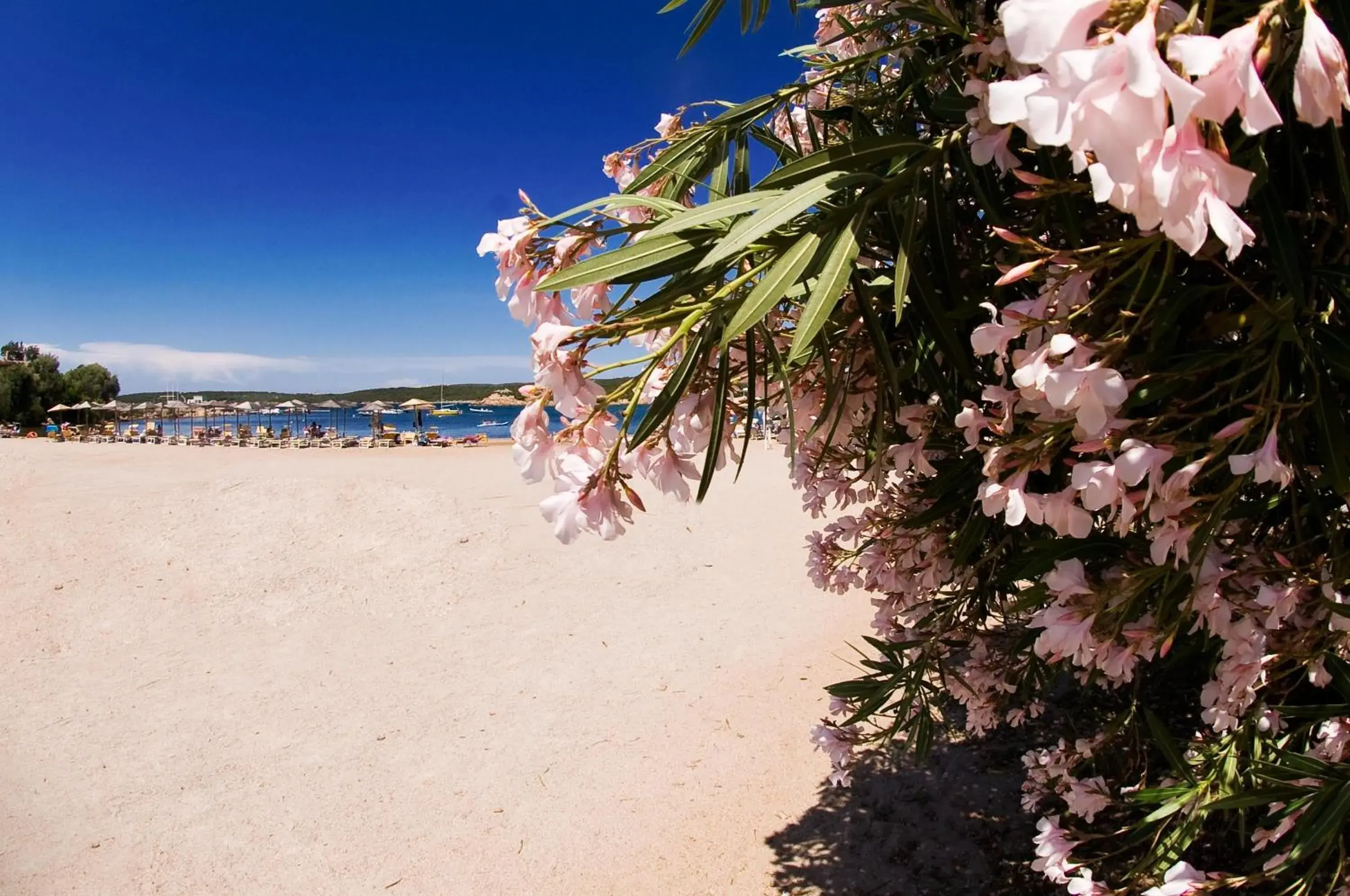 Area and facilities, Beach in Bagaglino I Giardini Di Porto Cervo