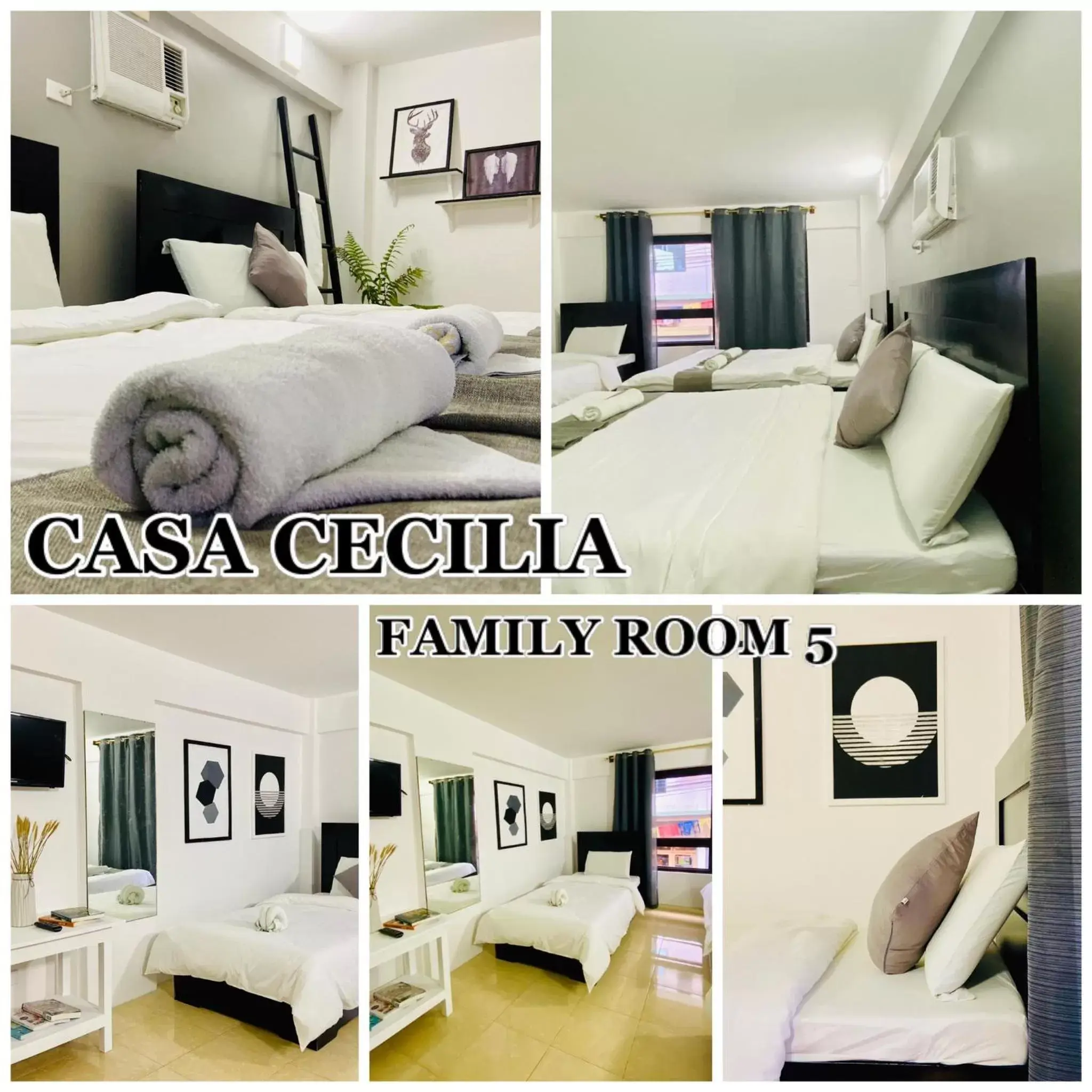 Photo of the whole room in Casa Cecilia