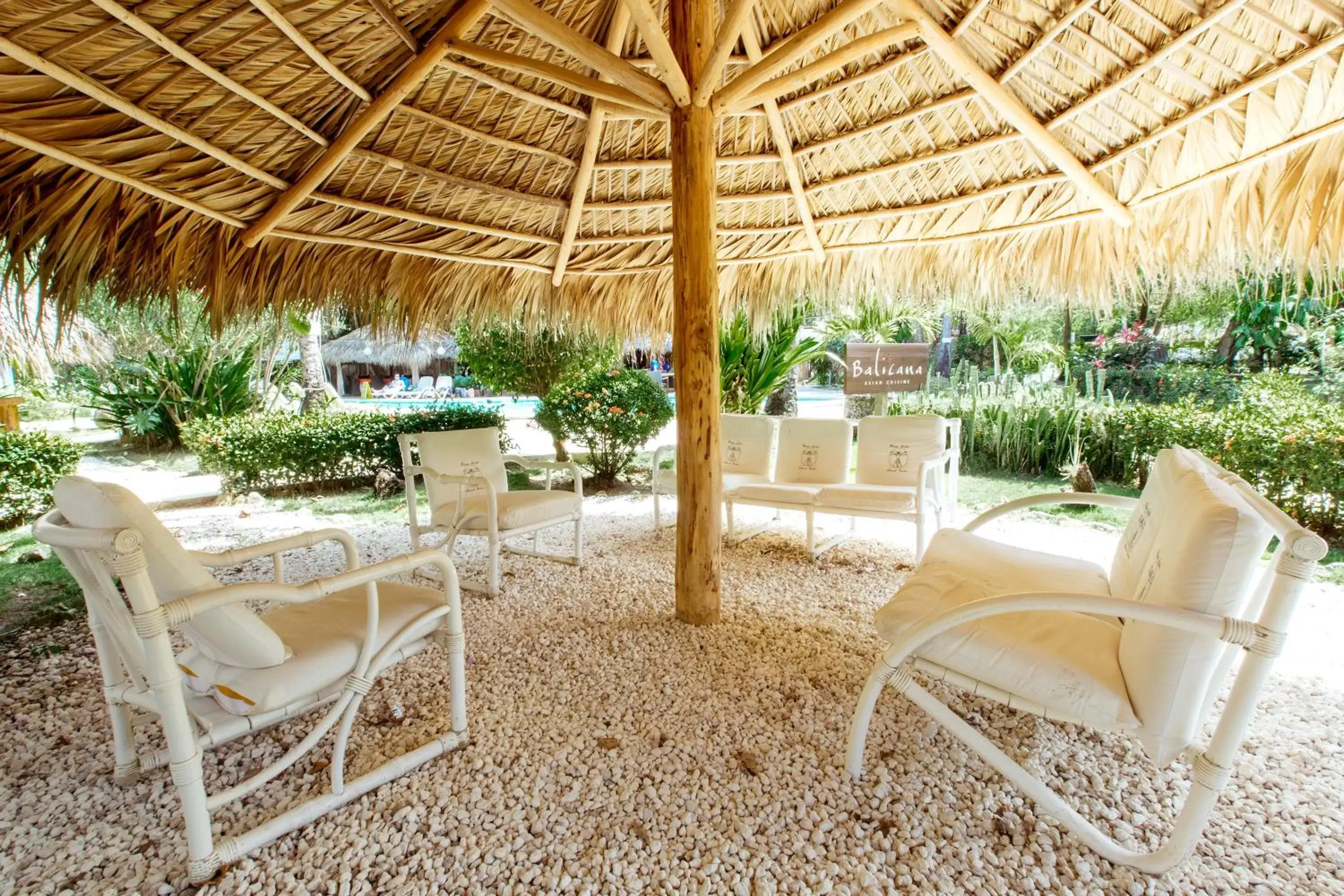 Garden view in AVENTURA VILLAGE LOS CORALES BEACH and SPA