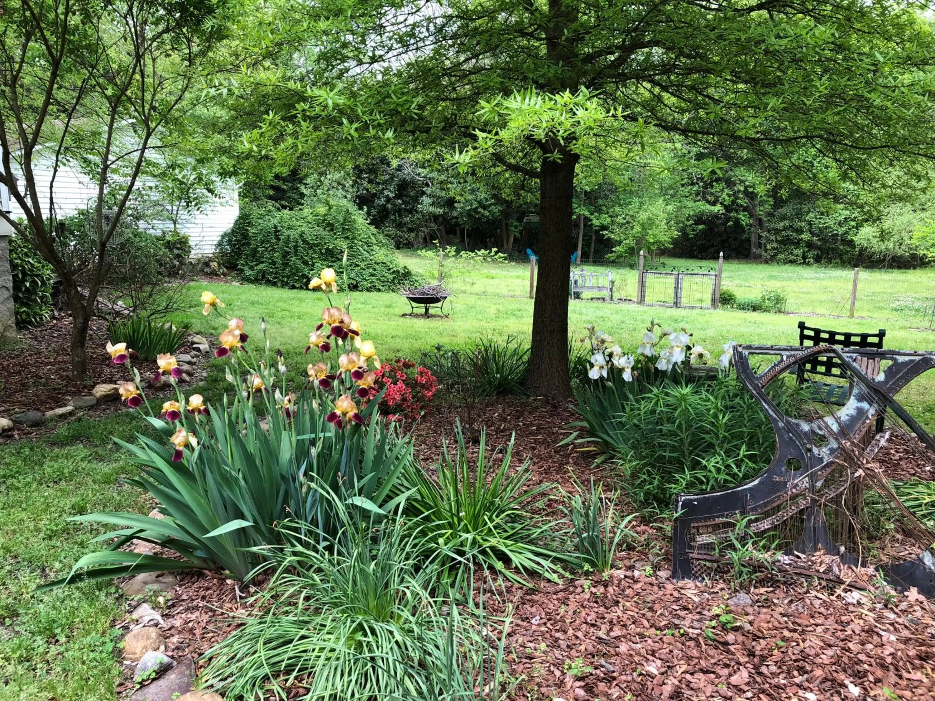 Garden in Magnolia House & Gardens B&B