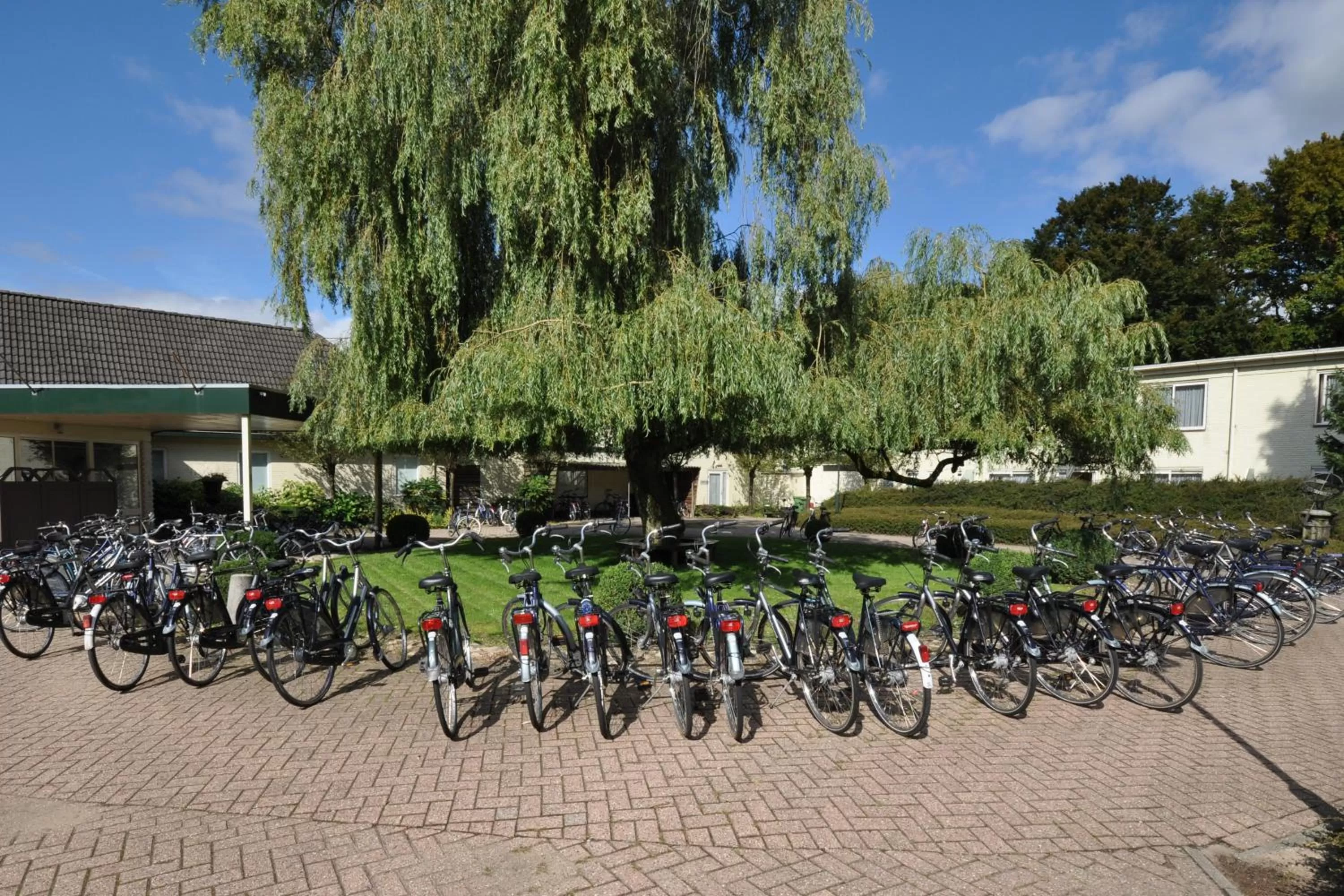 Cycling in Fletcher Hotel Restaurant Doorwerth - Arnhem