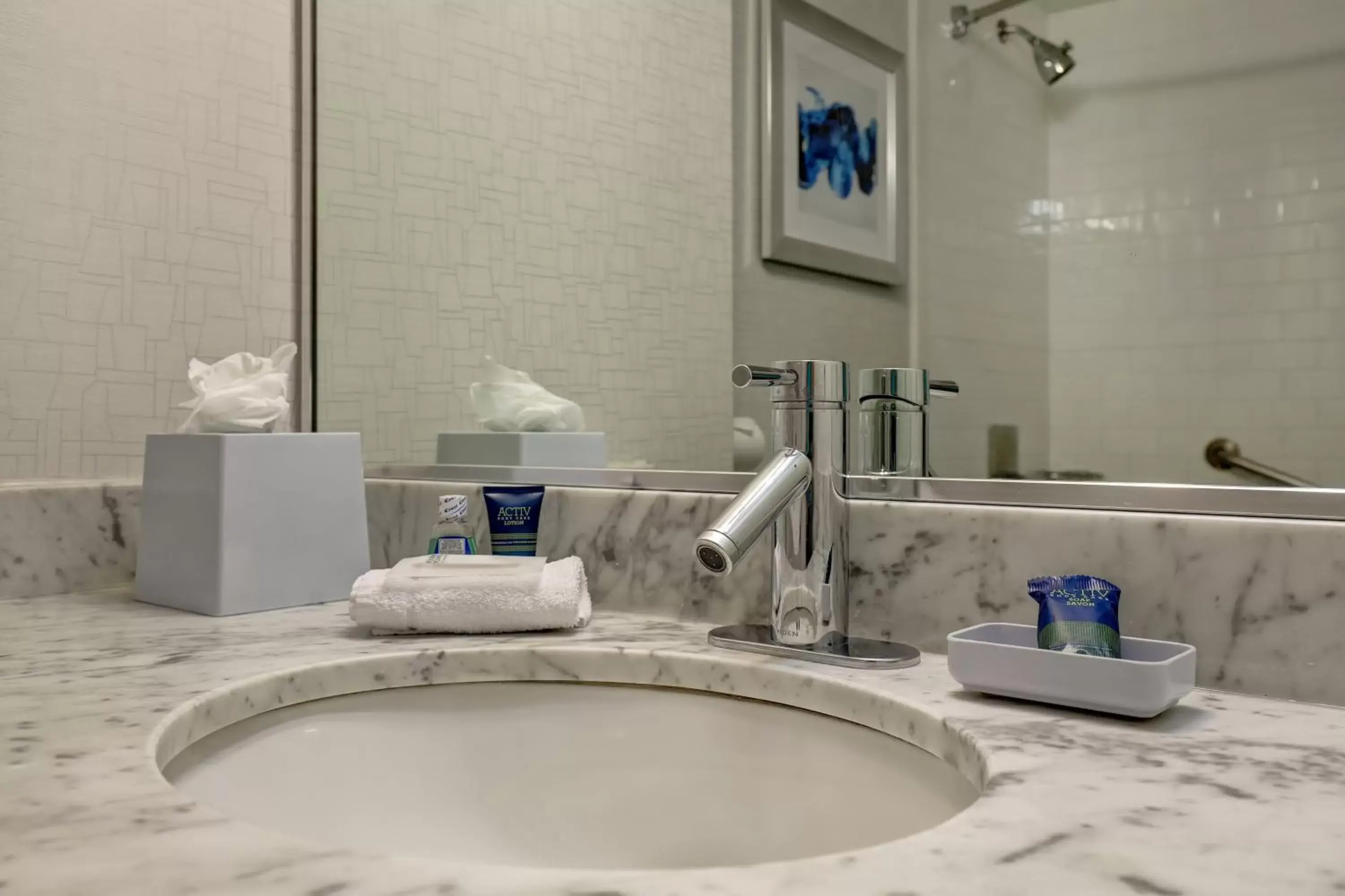 Bathroom in Four Points by Sheraton Toronto Mississauga