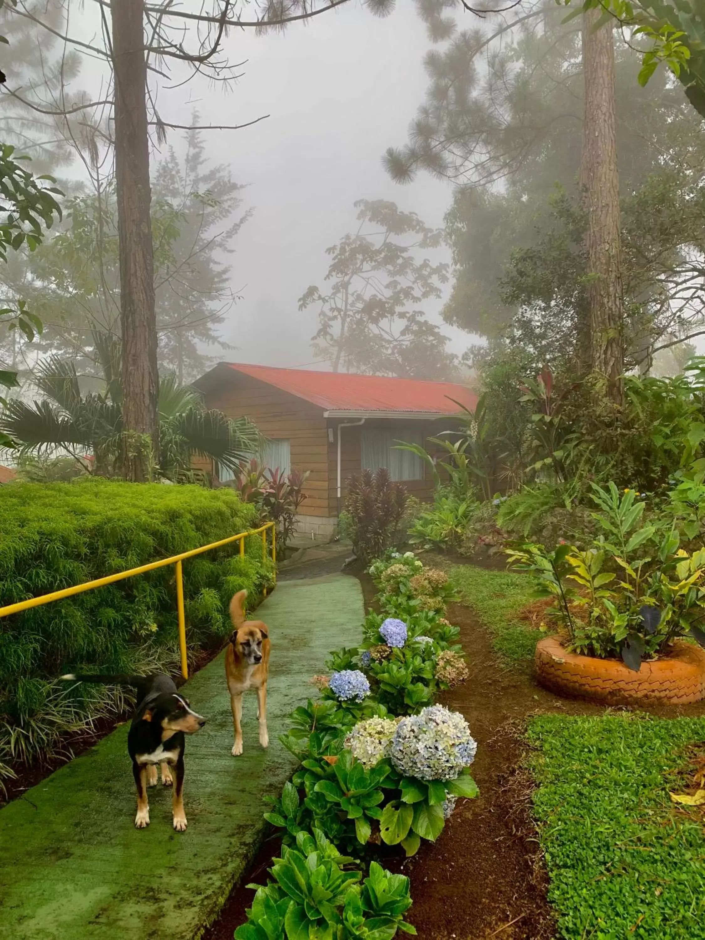 People in Vista Turrialba Lodge