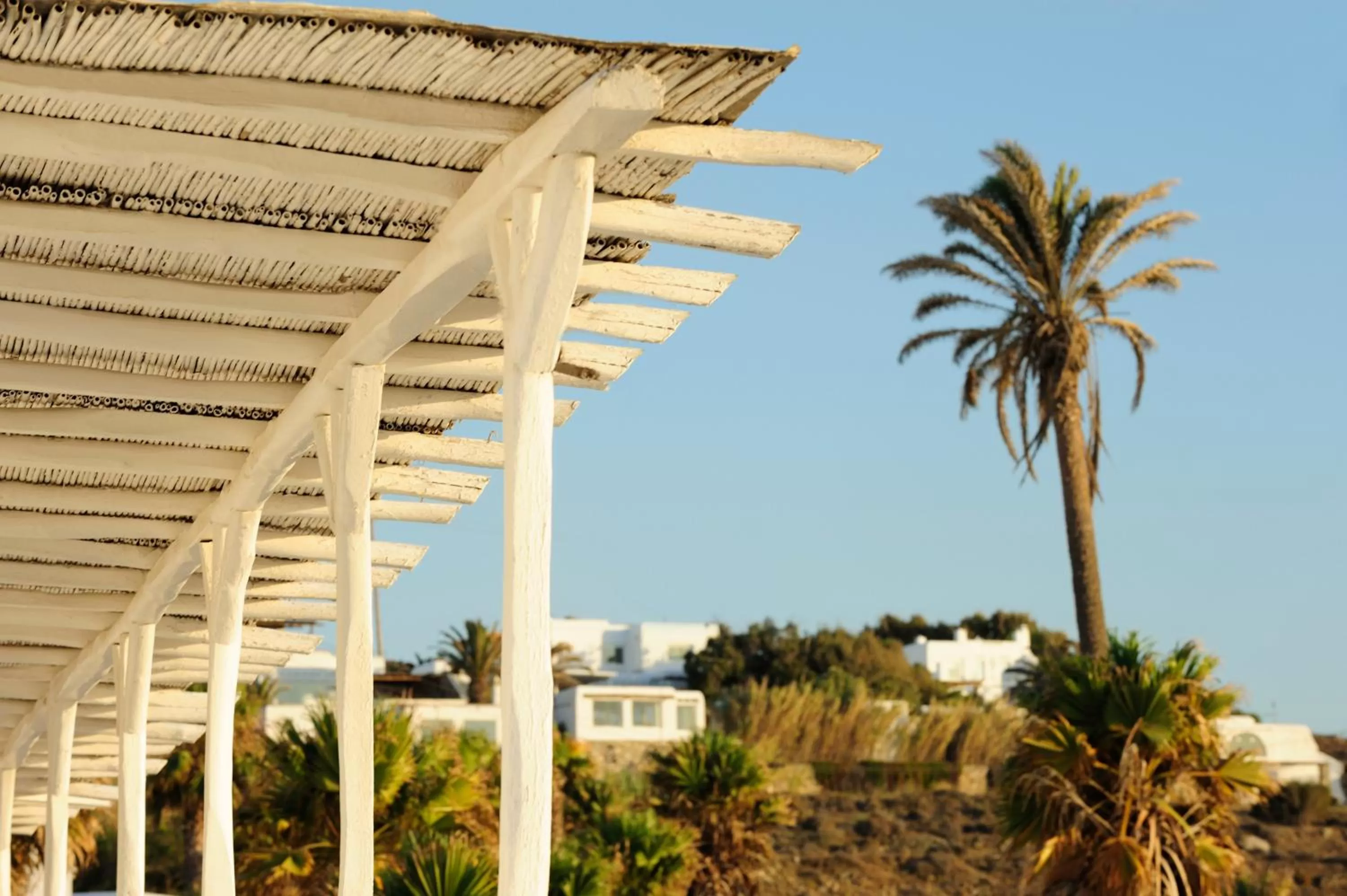 Natural landscape in Mykonos Beach Hotel