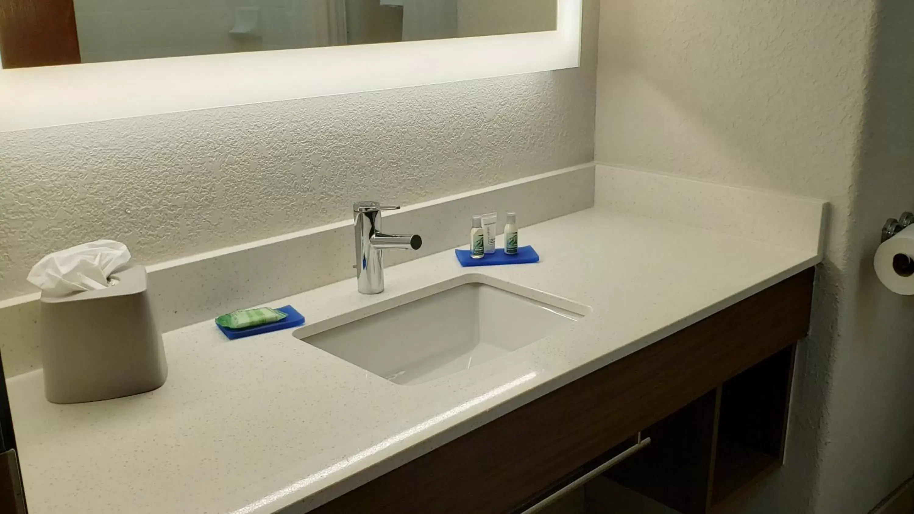 Bathroom in Holiday Inn Express Hotel and Suites Weslaco, an IHG Hotel