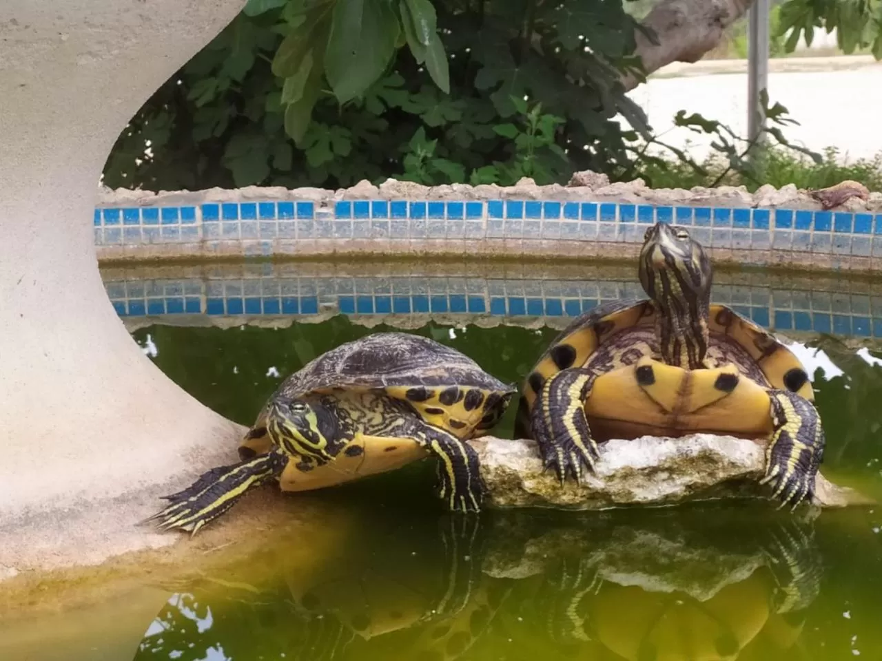 Property building in B&B La Seta Rossa