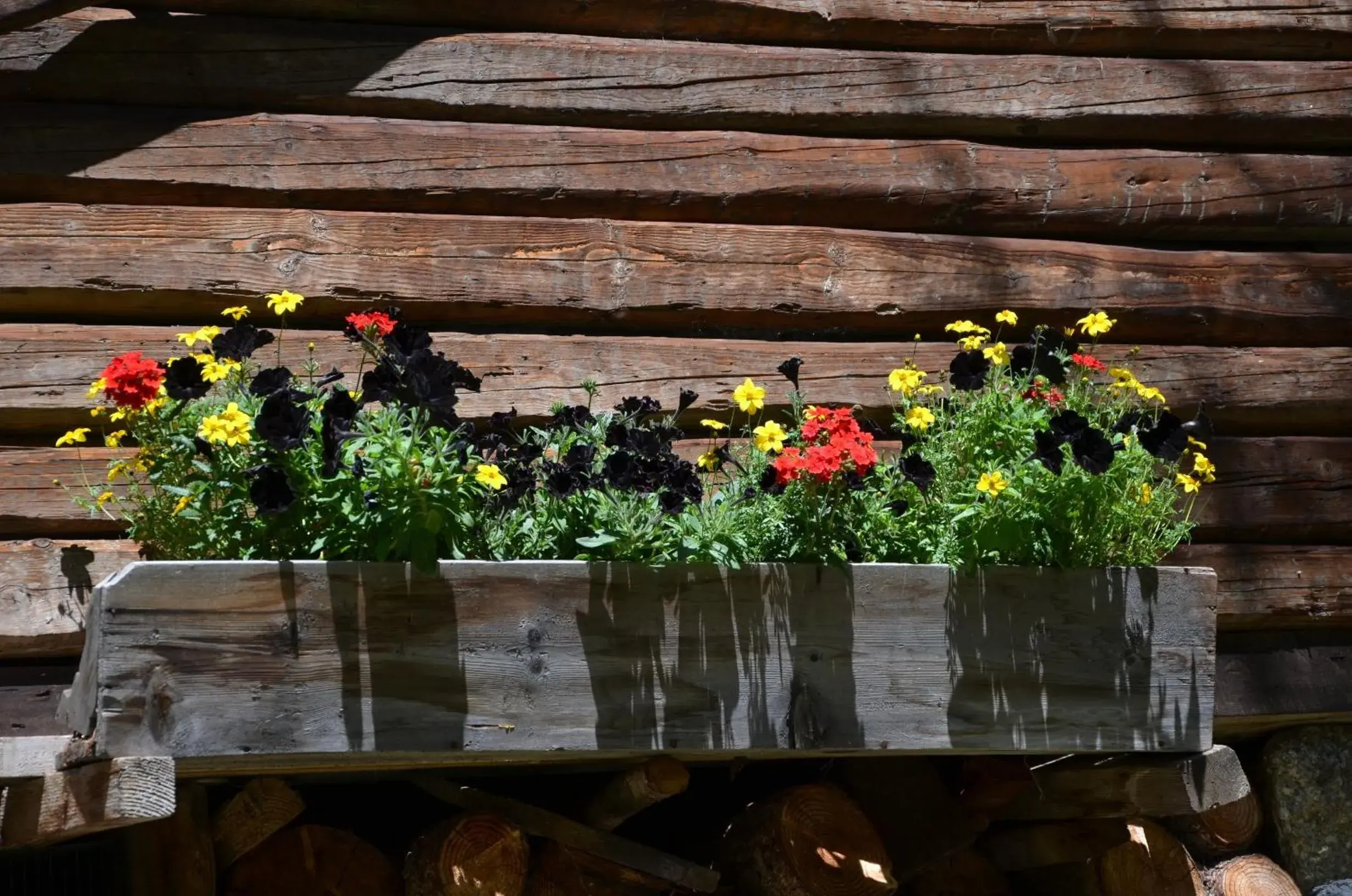 Other, Patio/Outdoor Area in Hotel Chalet Svizzero