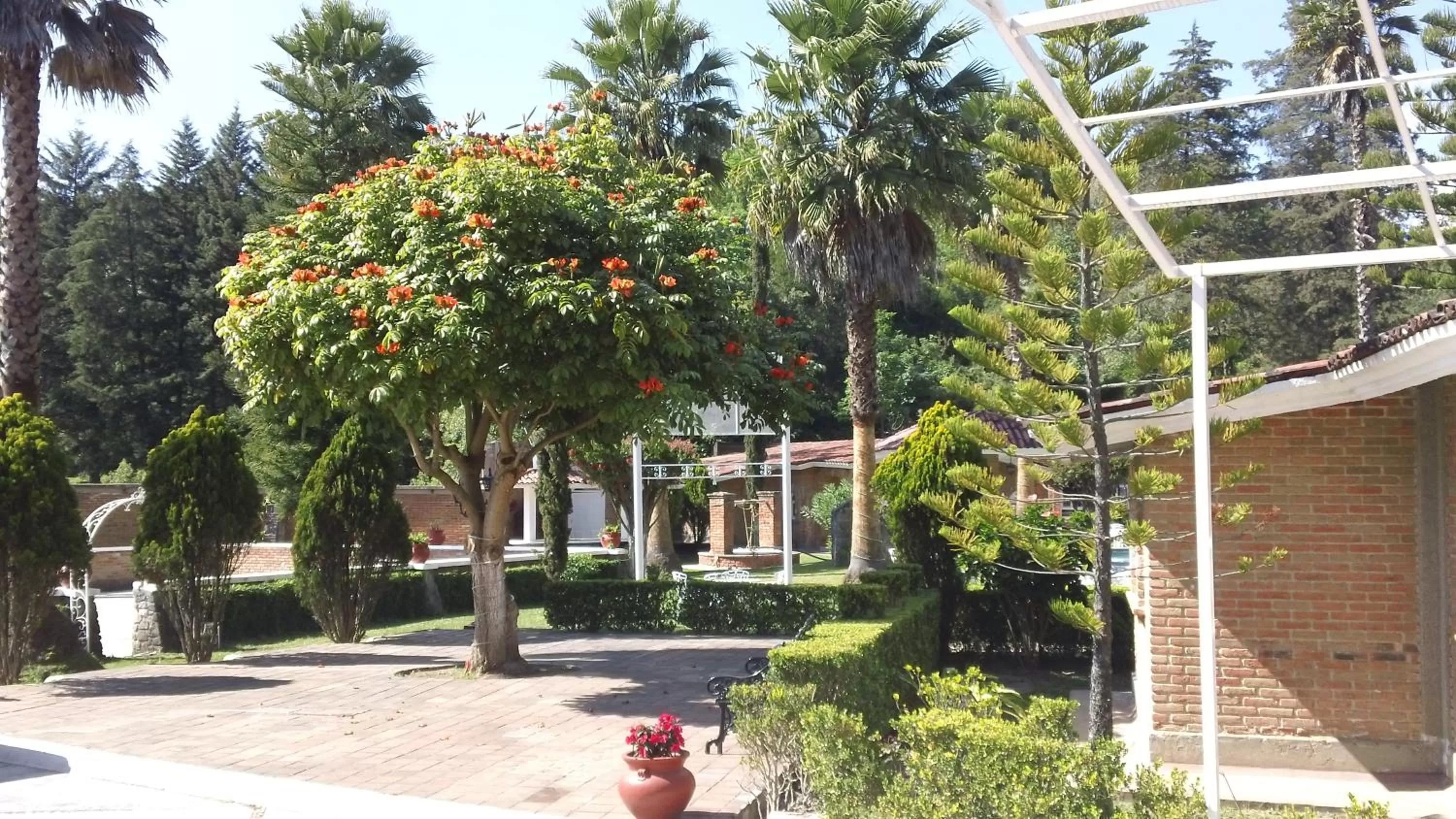 Garden in Hotel Villa Monarca Inn