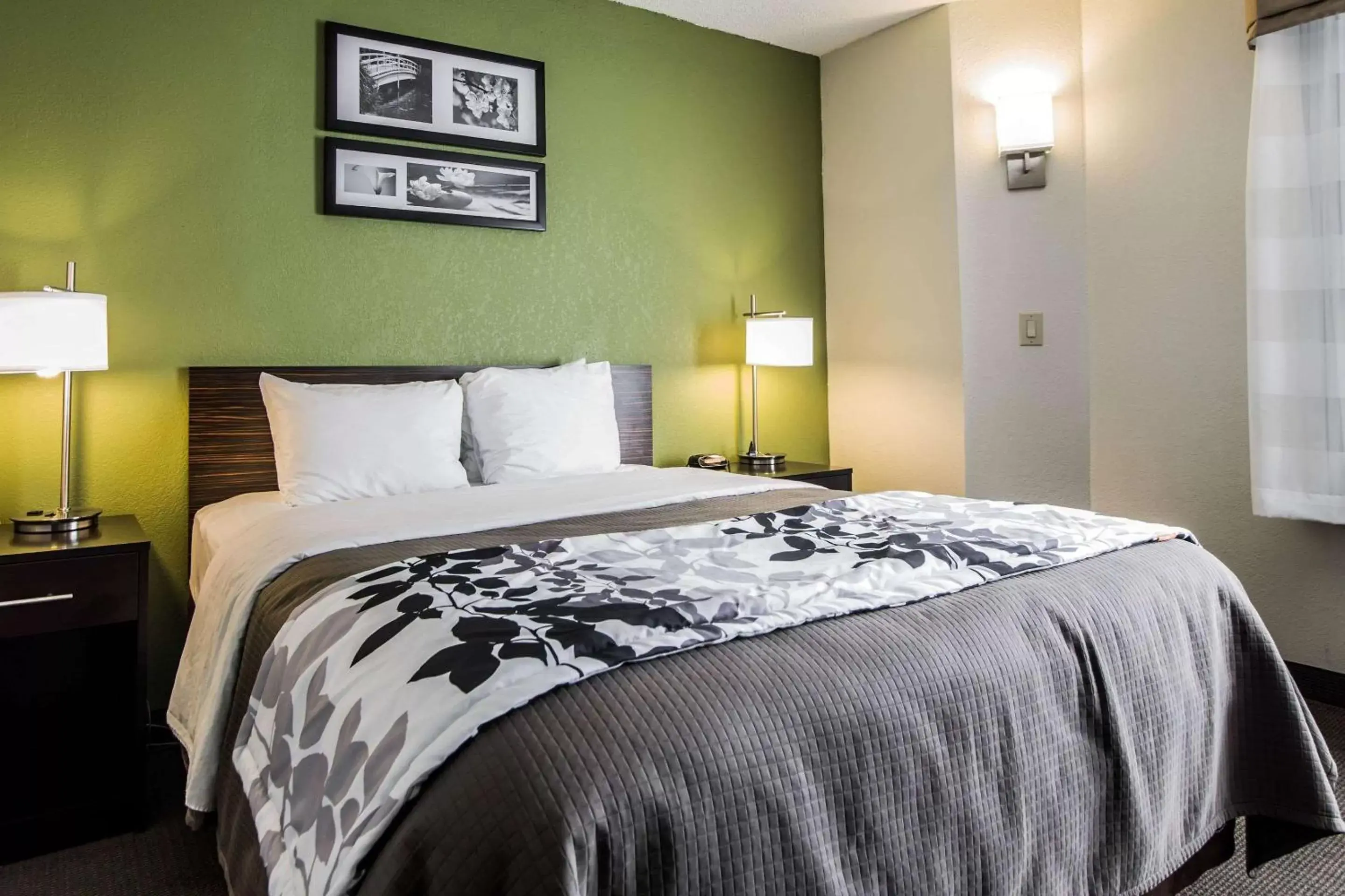 Photo of the whole room, Bed in Sleep Inn Columbia Airport Photo of the whole room, Bed in Sleep Inn Columbia Airport