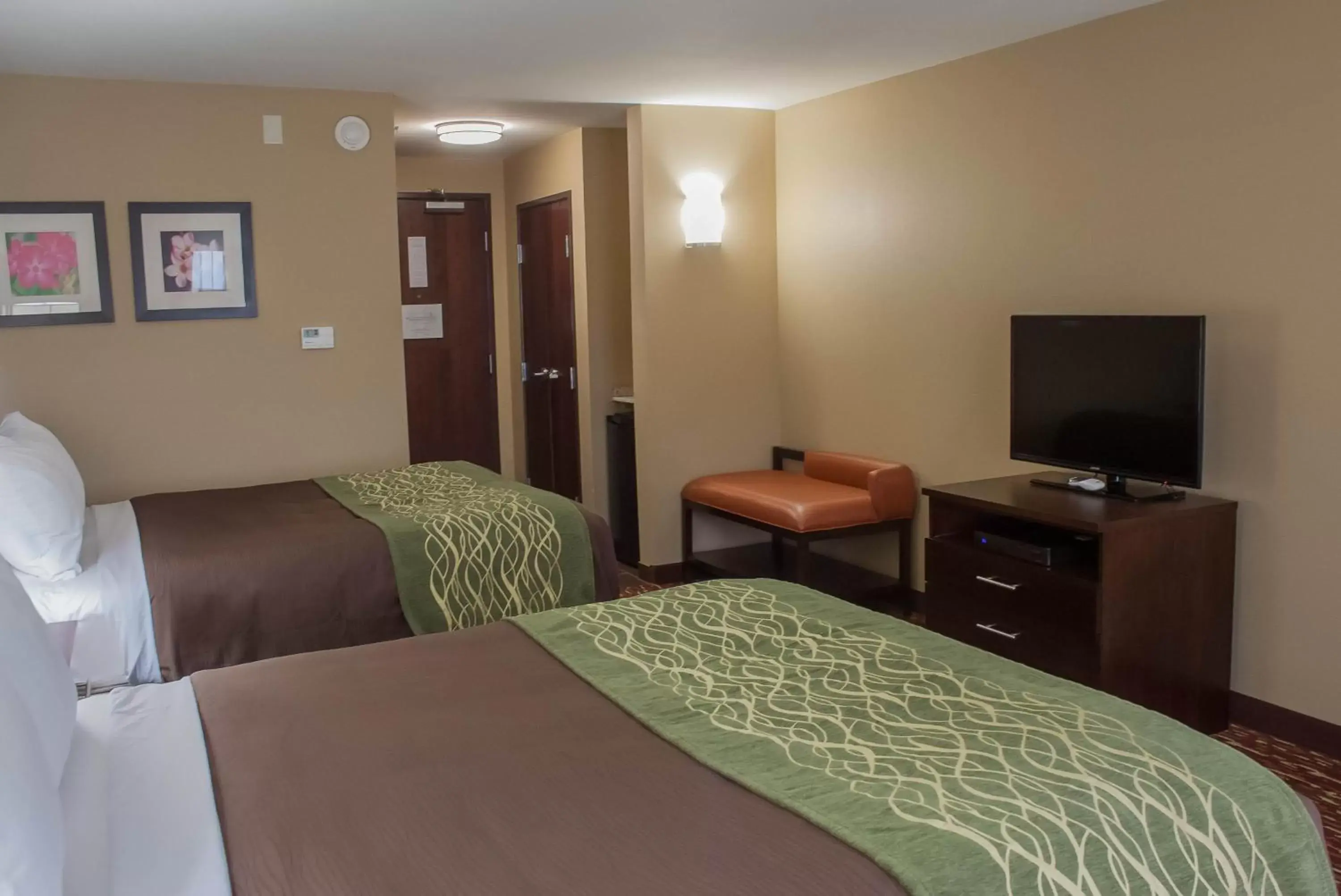 Photo of the whole room, Bed in Comfort Inn & Suites Artesia
