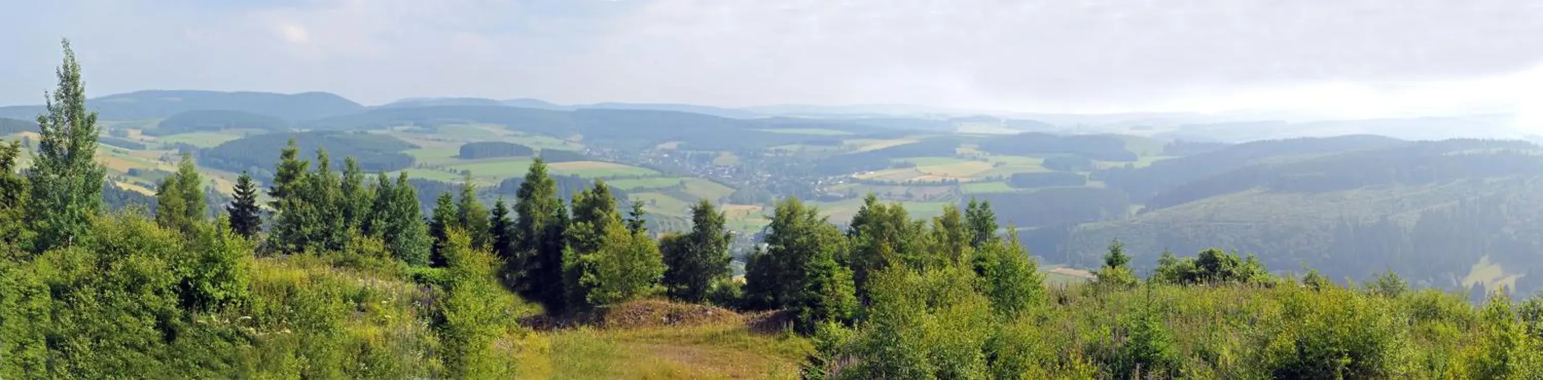 Natural Landscape in Hotel Niedersfeld-Winterberg