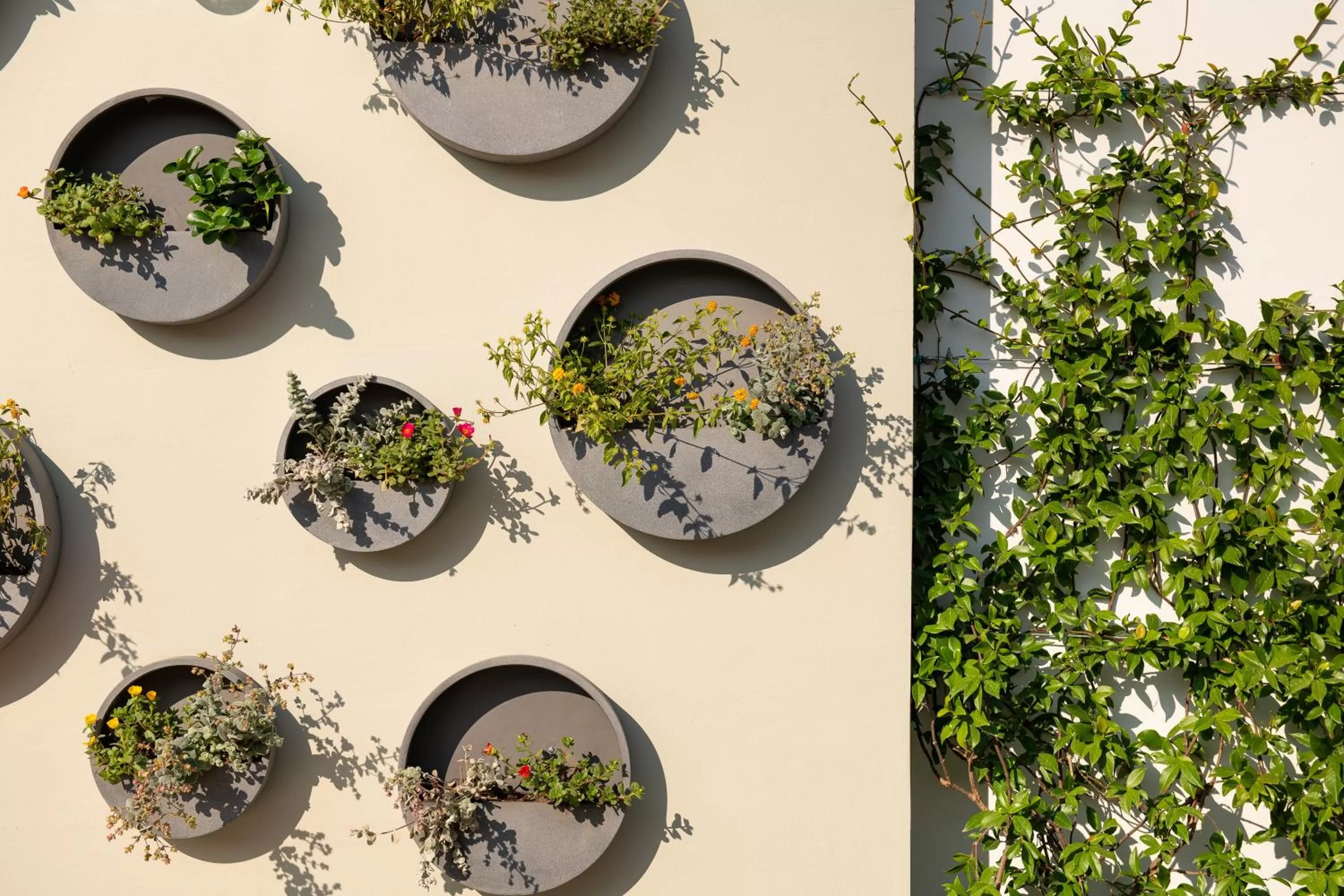 Balcony/Terrace in Alkima Athens Wellness Stay