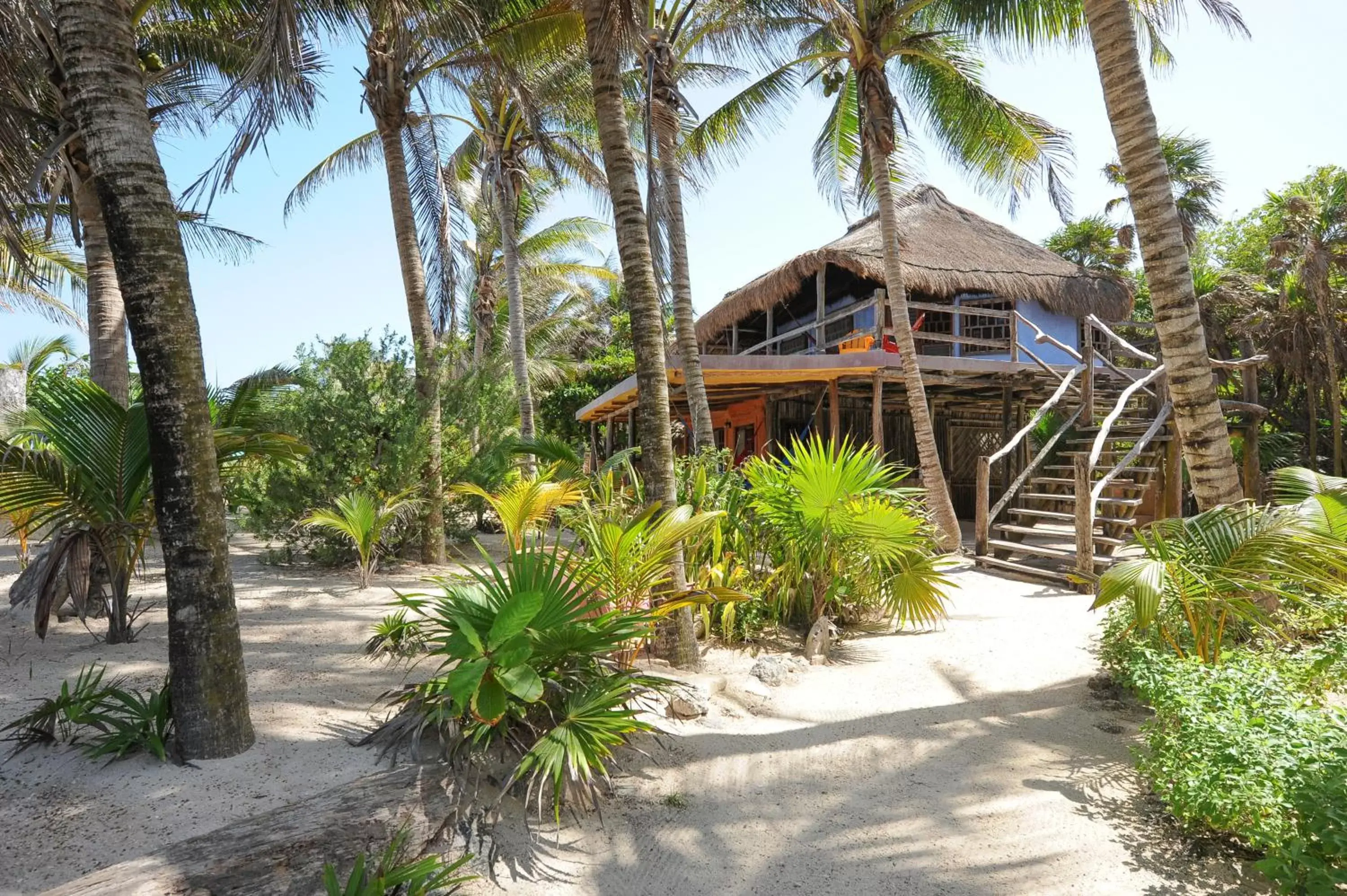 Natural landscape, Property Building in Zamas Hotel