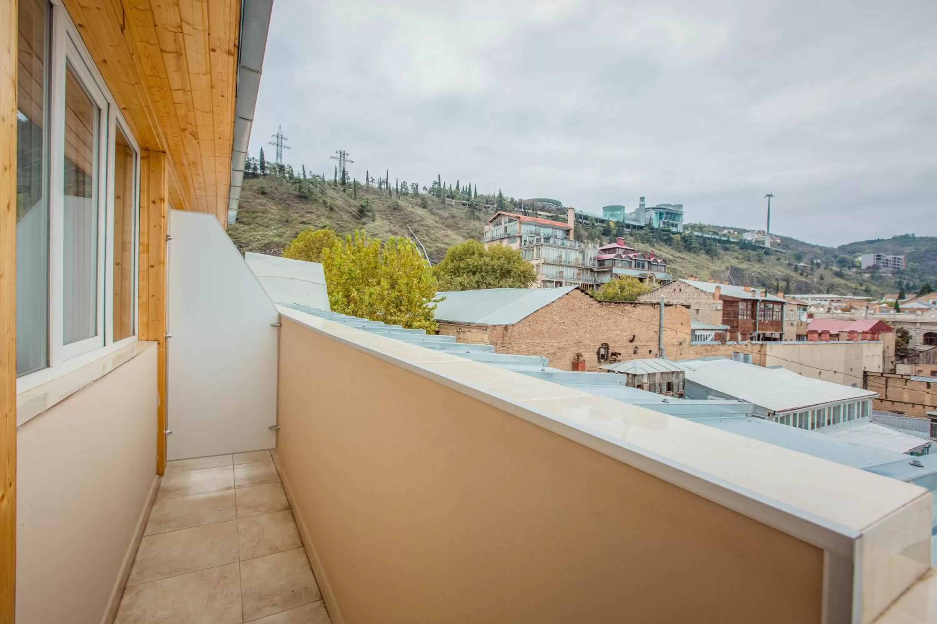 View (from property/room) in Galaktioni 22