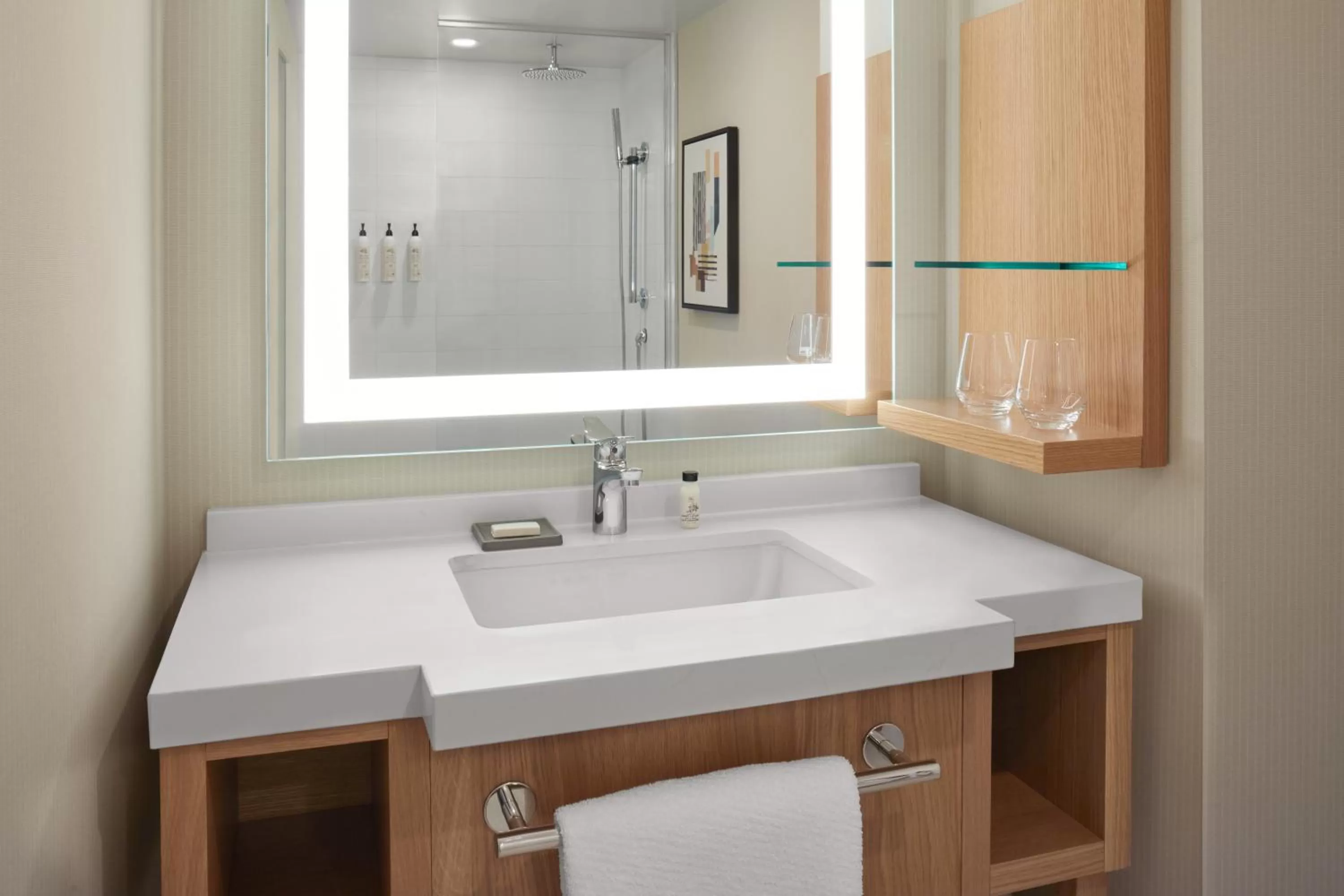 Bathroom in Delta Hotels Calgary Airport In-Terminal