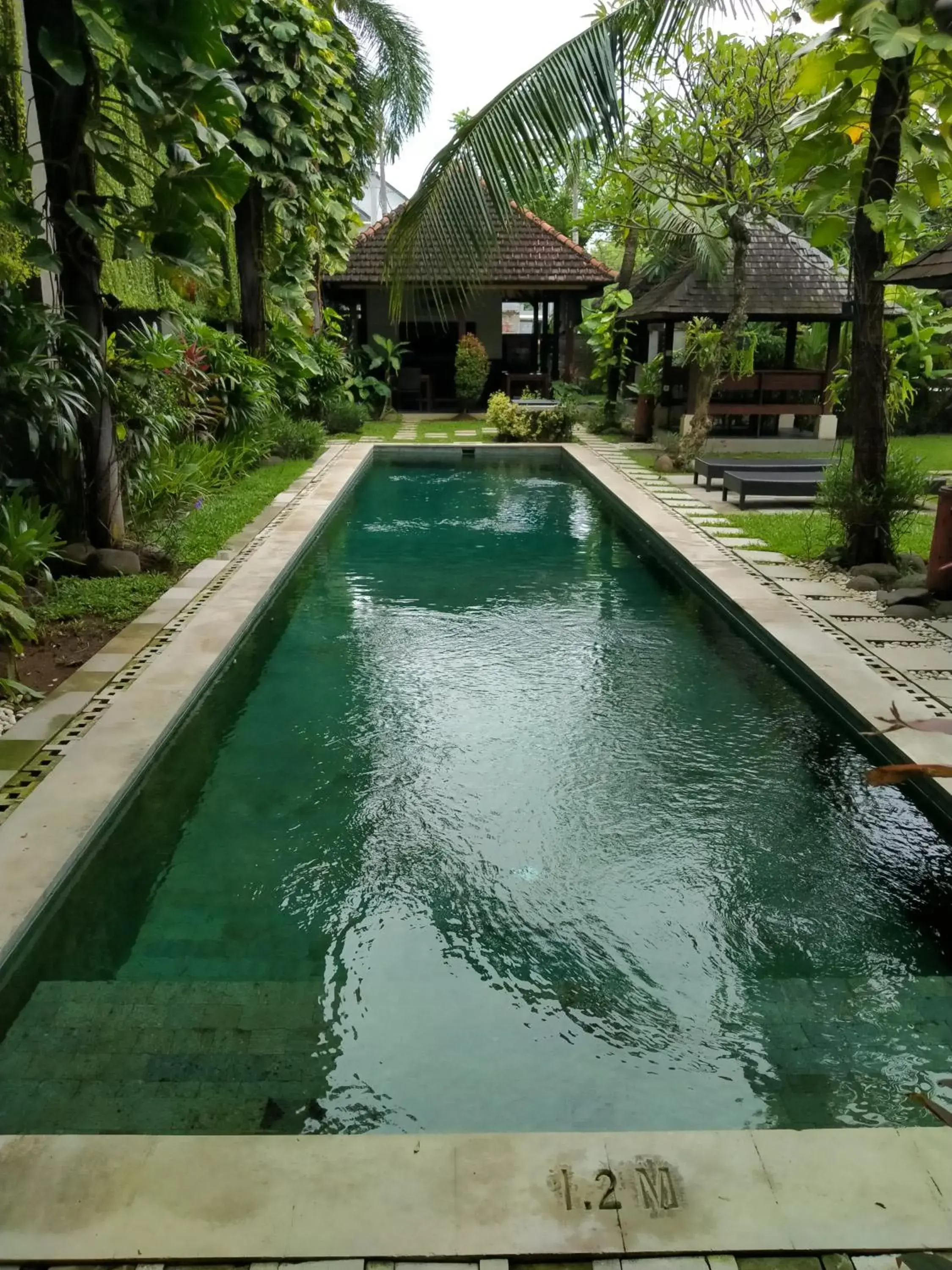 Swimming Pool in Ganga Hotel & Apartment