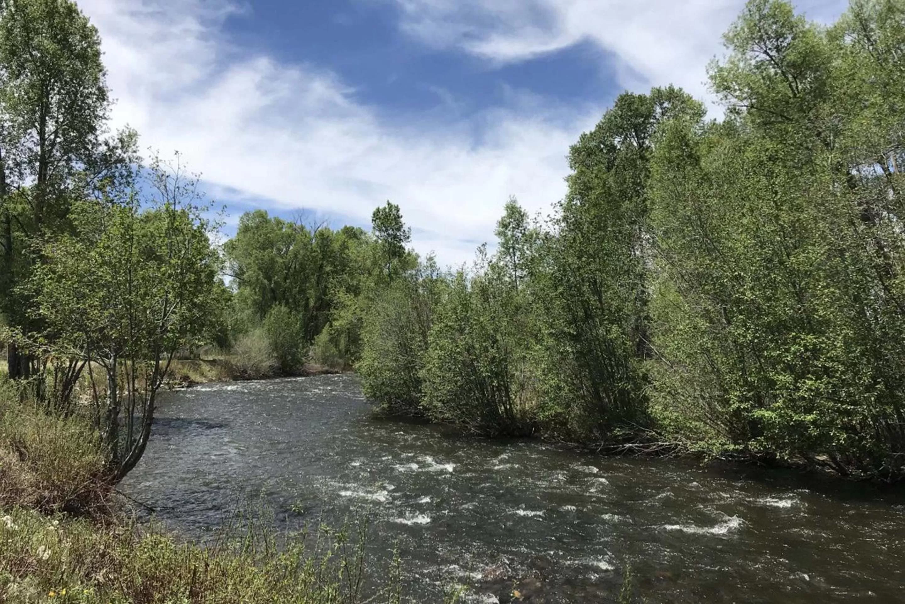 Natural landscape in Elkhorn Lodge
