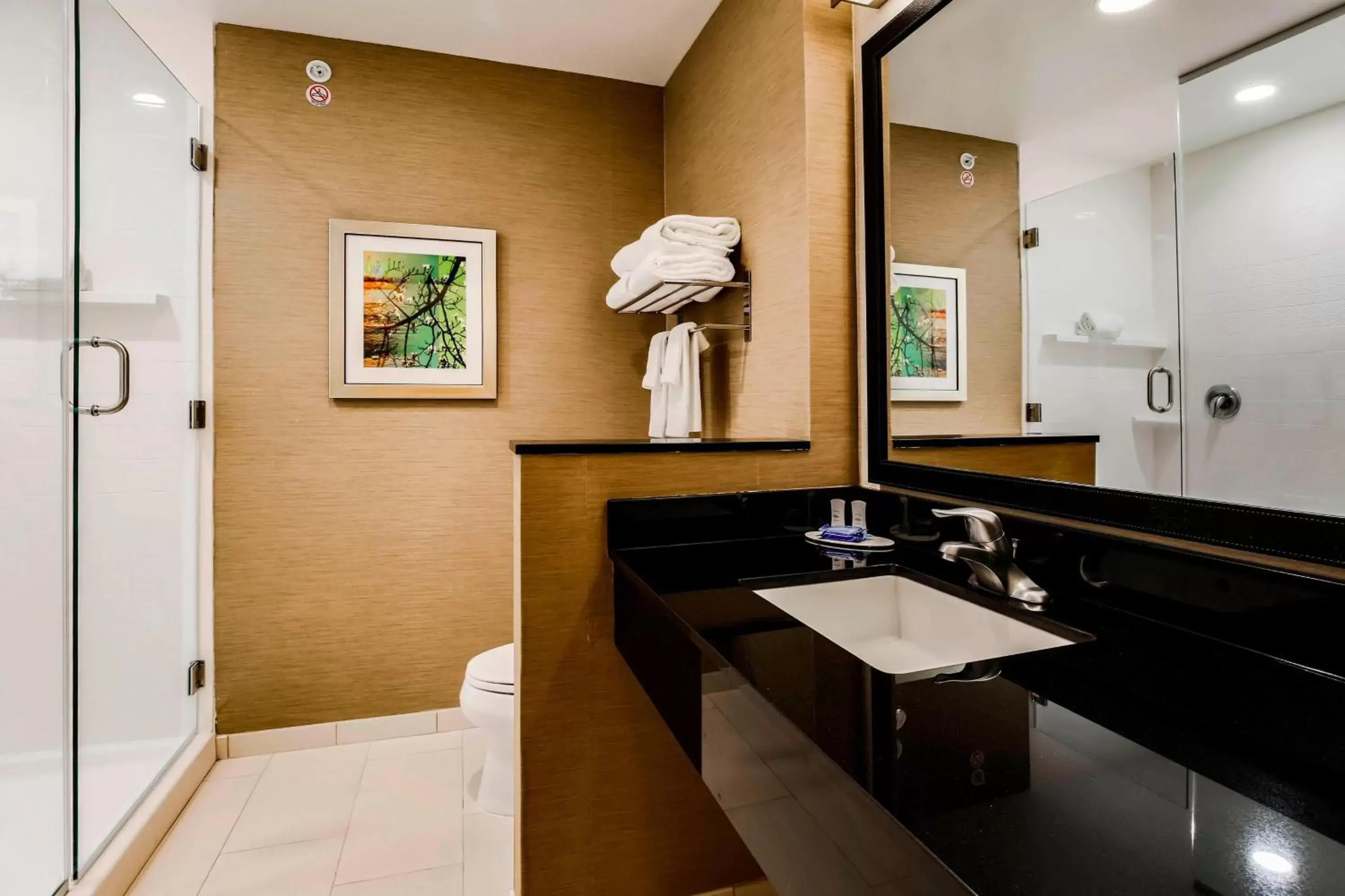 Bathroom in Fairfield Inn & Suites by Marriott Pecos