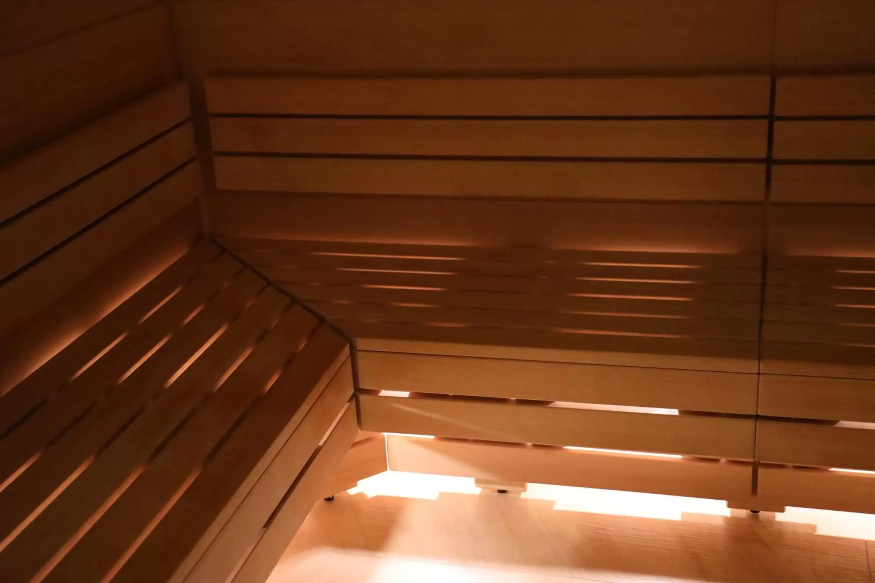 Sauna in Hotel Paso Del Norte, Autograph Collection