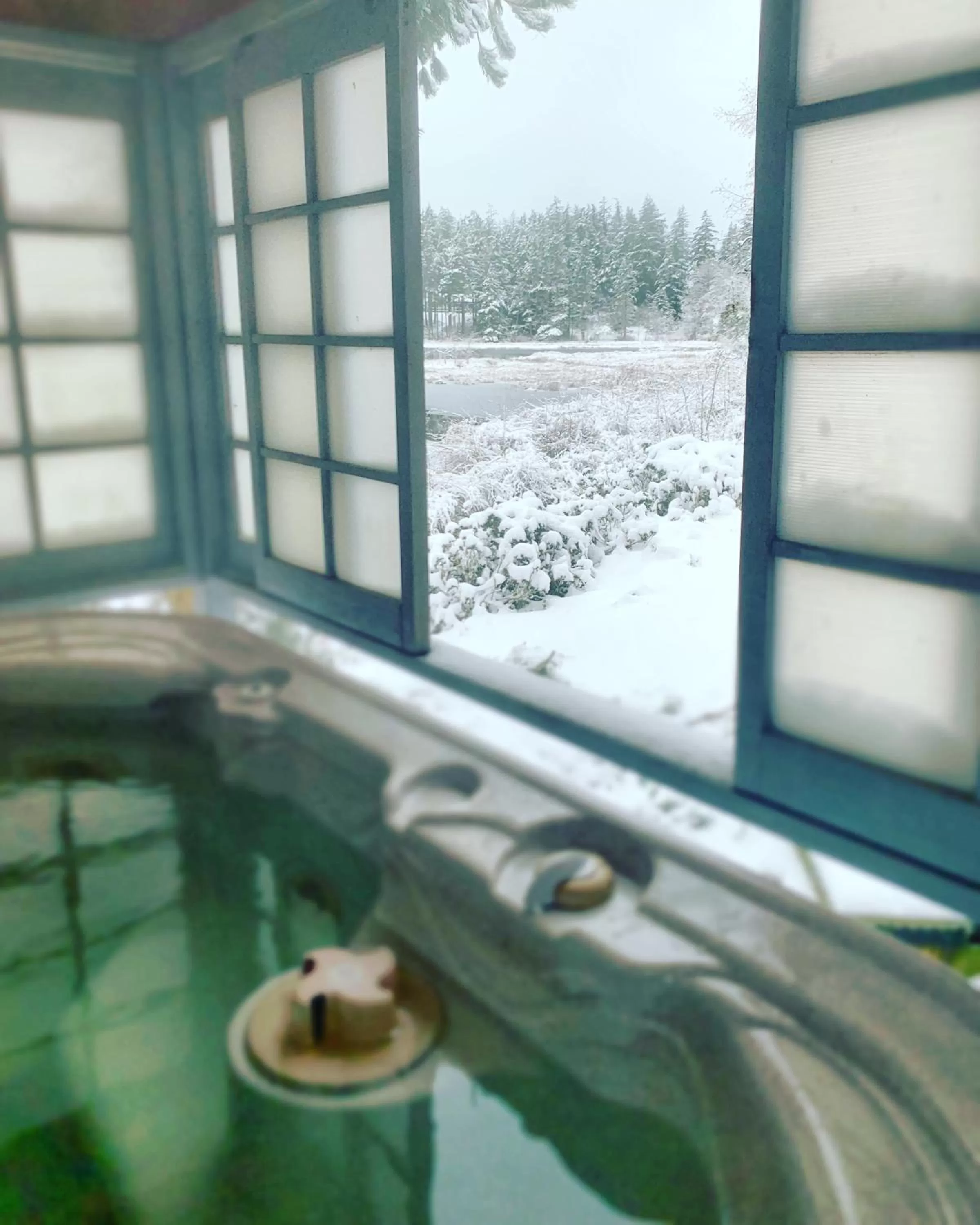 Winter in Otter's Pond Bed and Breakfast