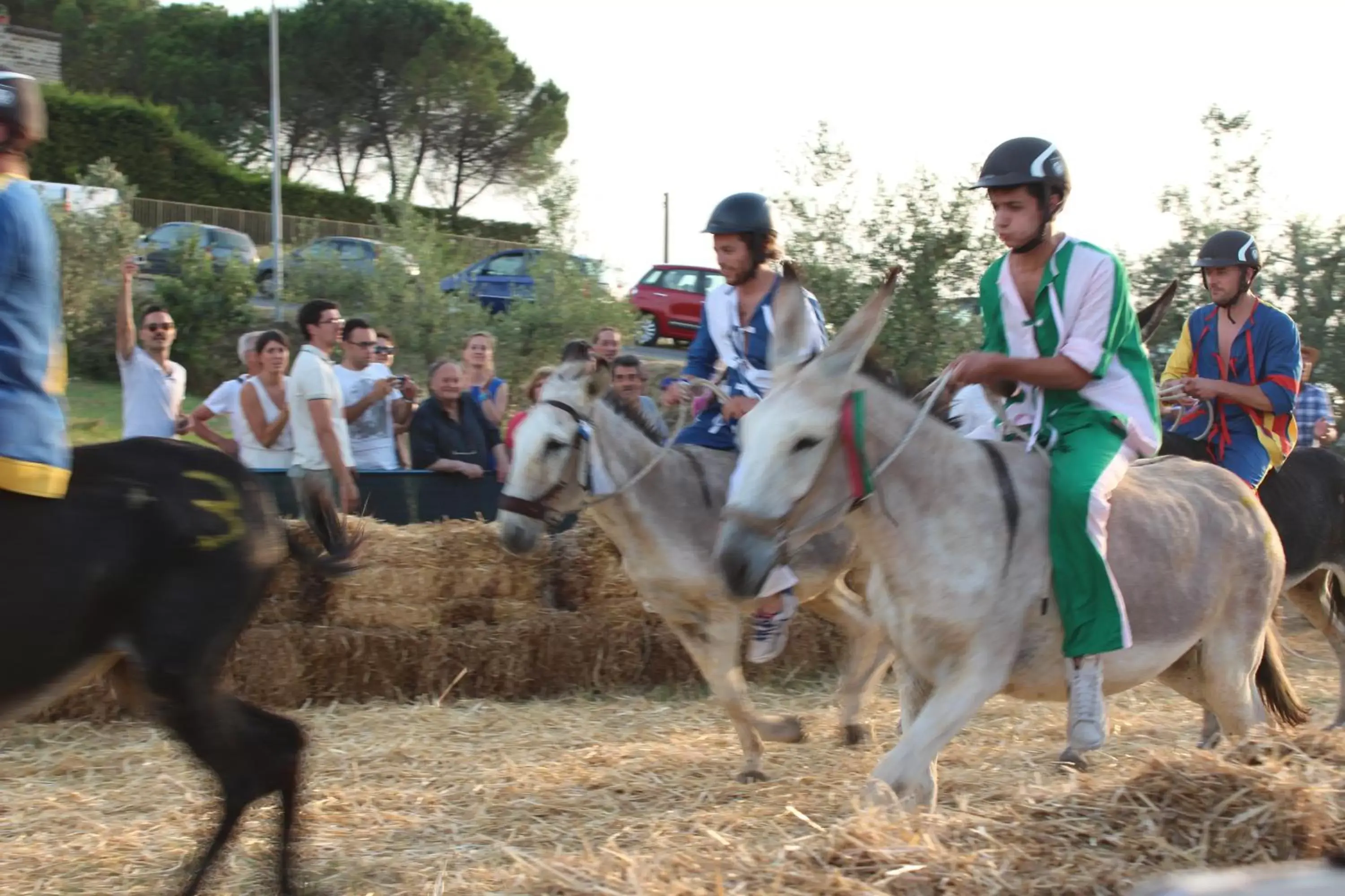 Horse-riding in Le Terrazze Del Chianti