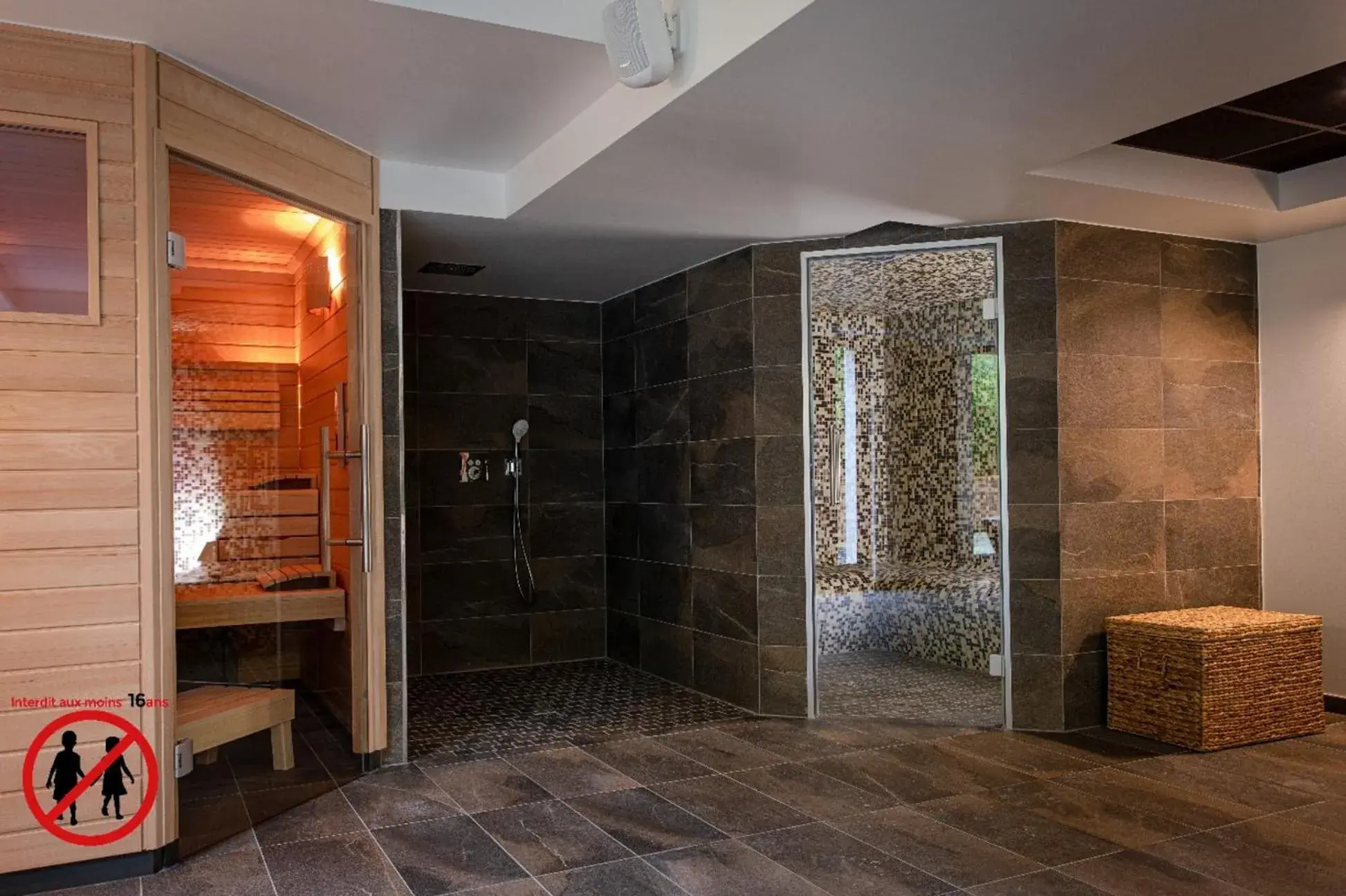 Sauna, Bathroom in Europe Haguenau – Hotel & Spa