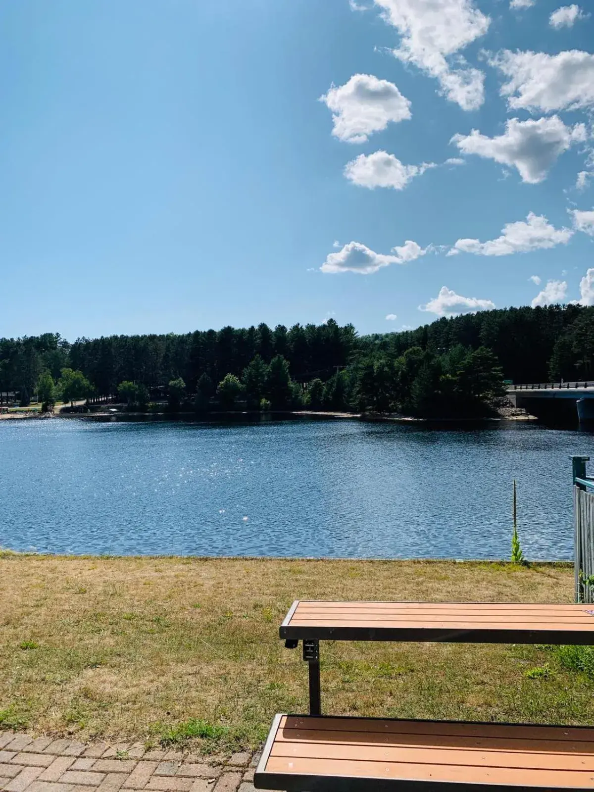 Natural landscape in Algonquin Lakeside Inn