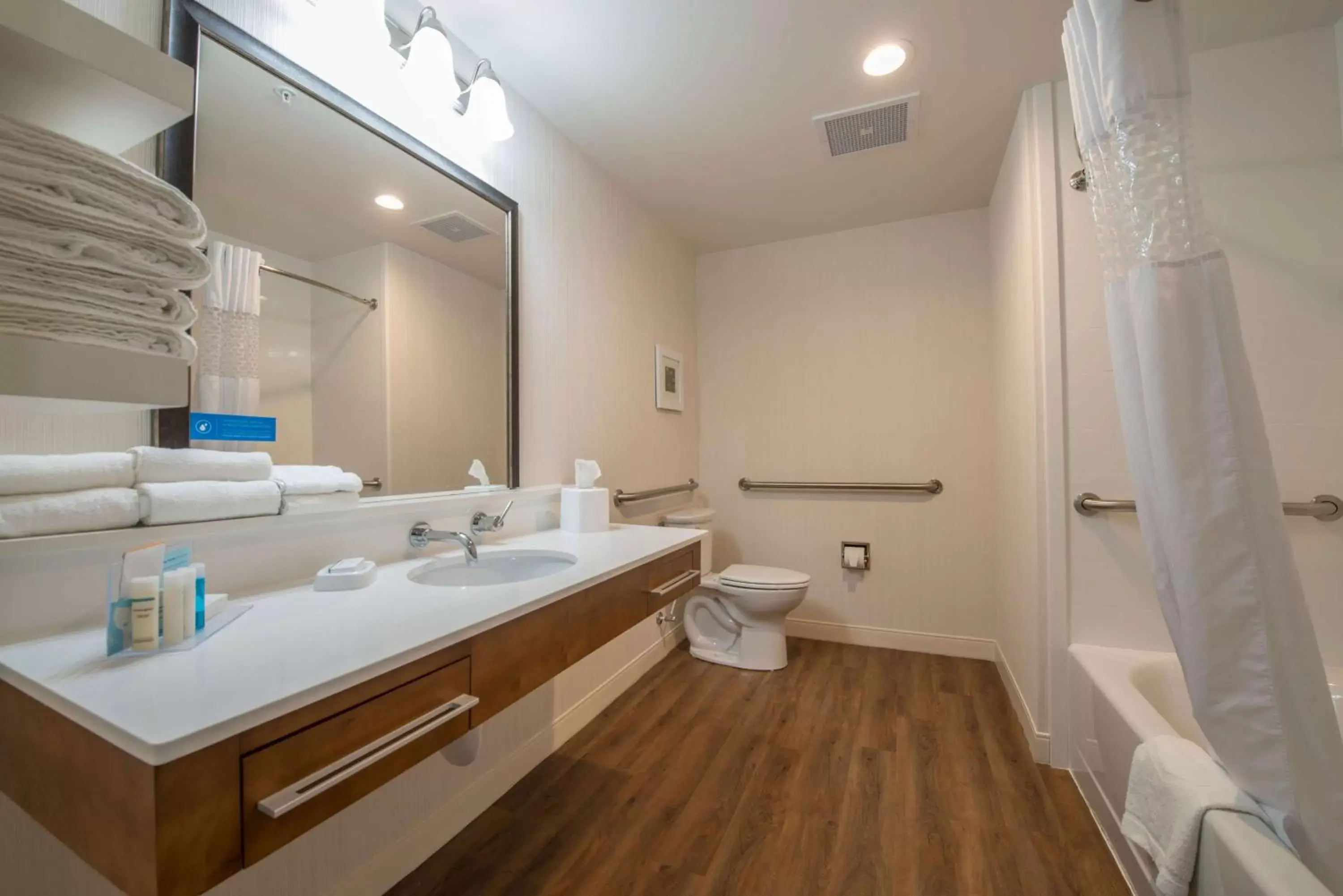 Bathroom in Hampton Inn By Hilton Waynesboro, GA