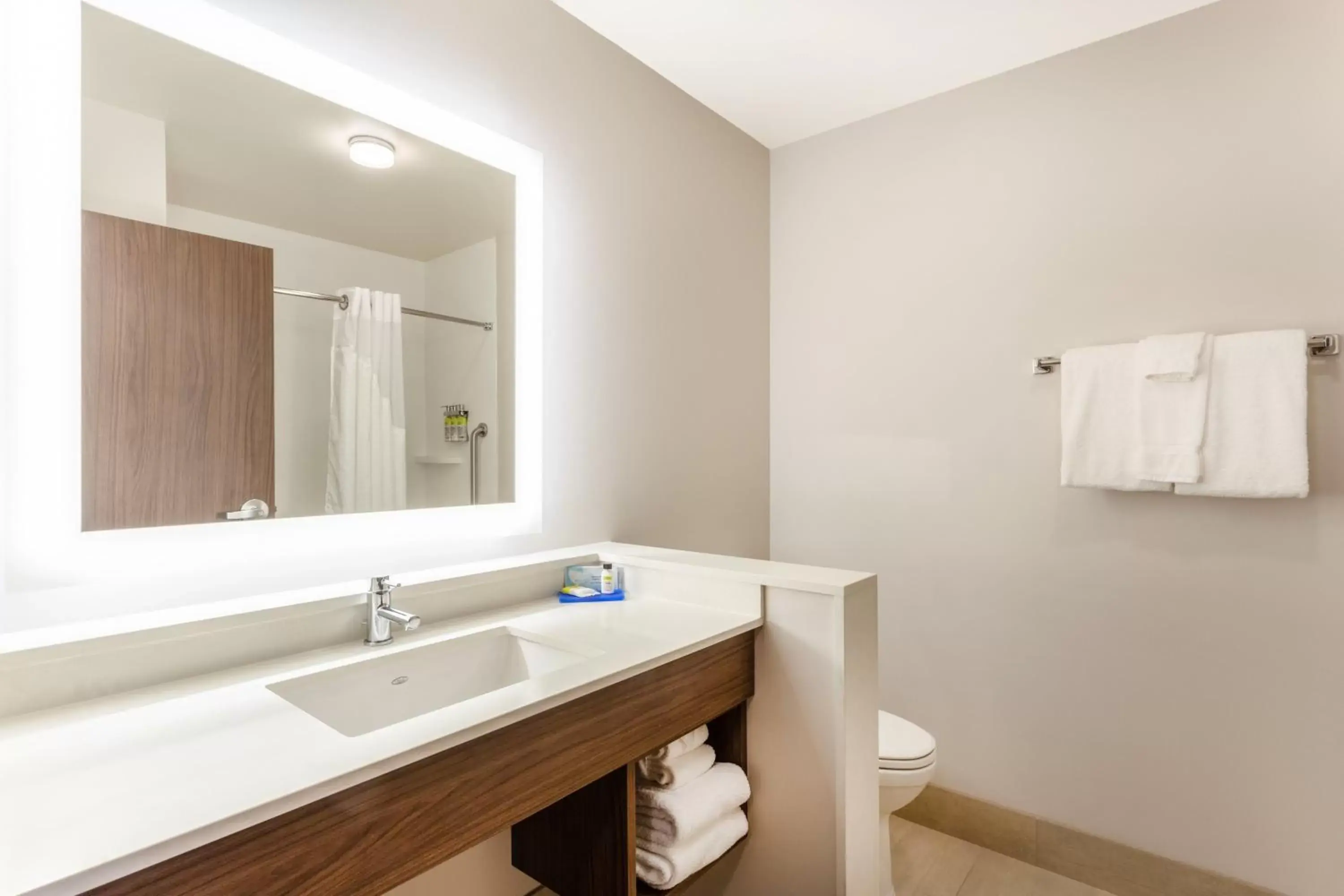 Bathroom in Holiday Inn Express & Suites - Springfield North, an IHG Hotel