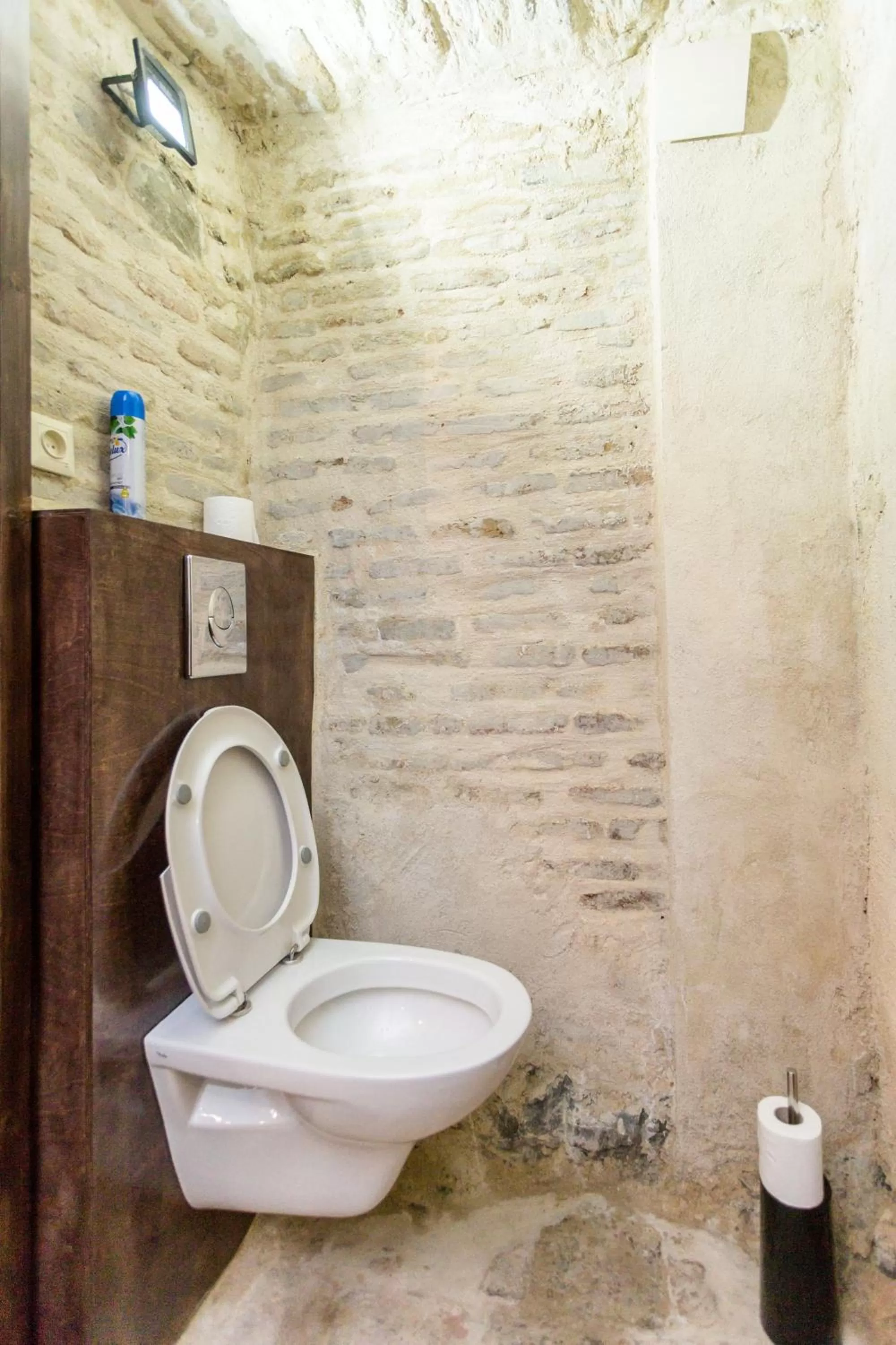 Toilet in Castle in Old Town