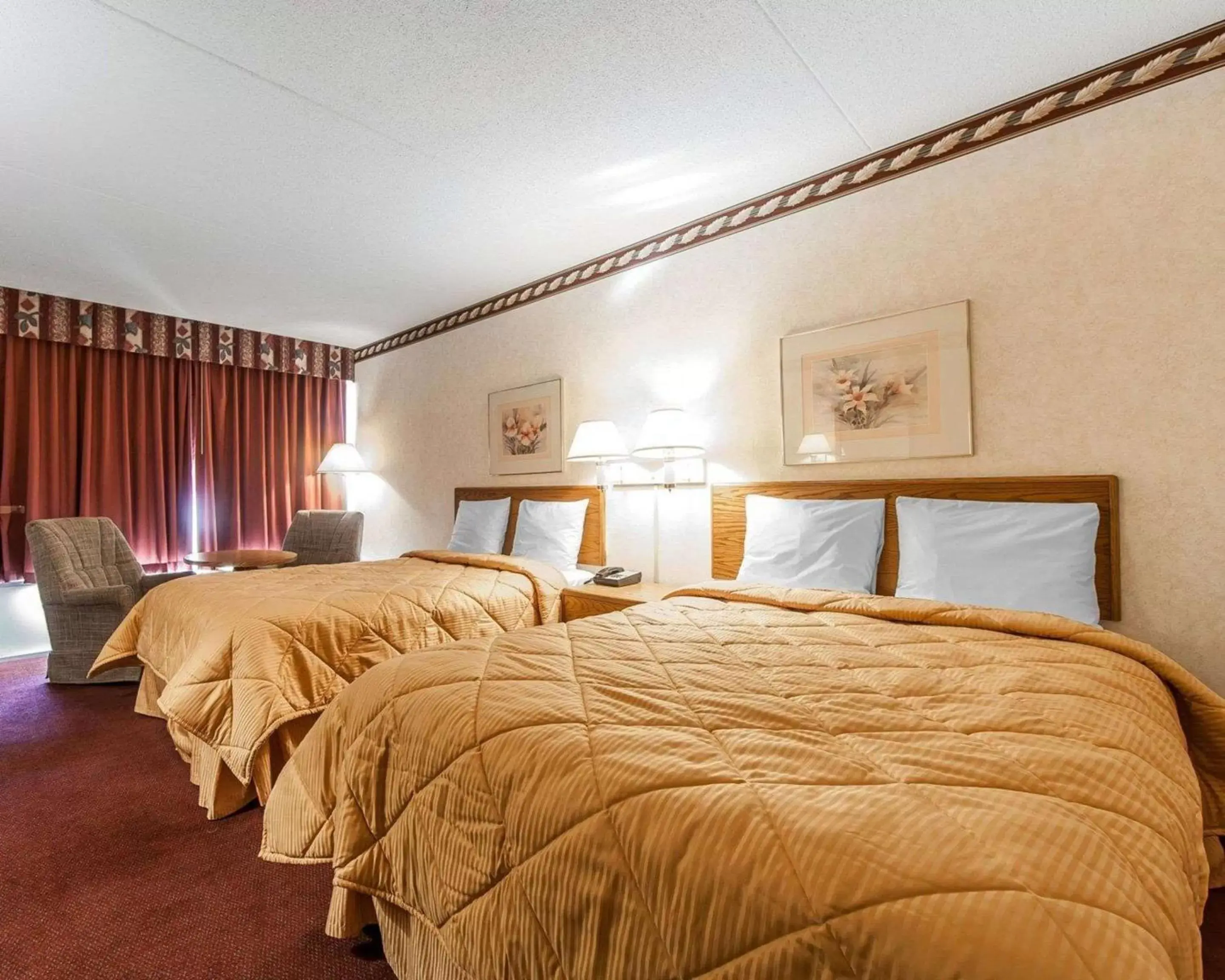 Photo of the whole room, Bed in Rodeway Inn