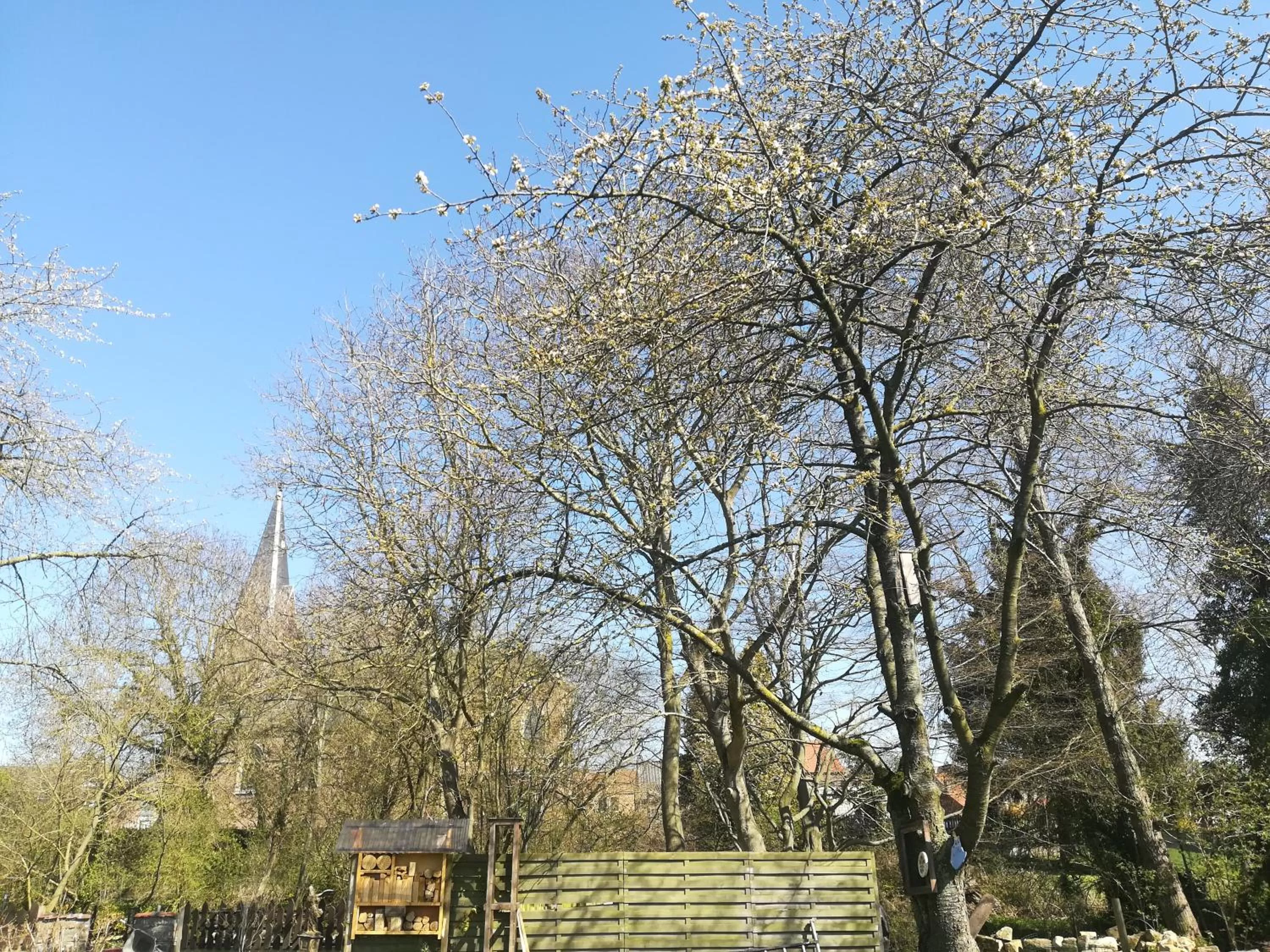 Spring in B&B De Dubbelmolen