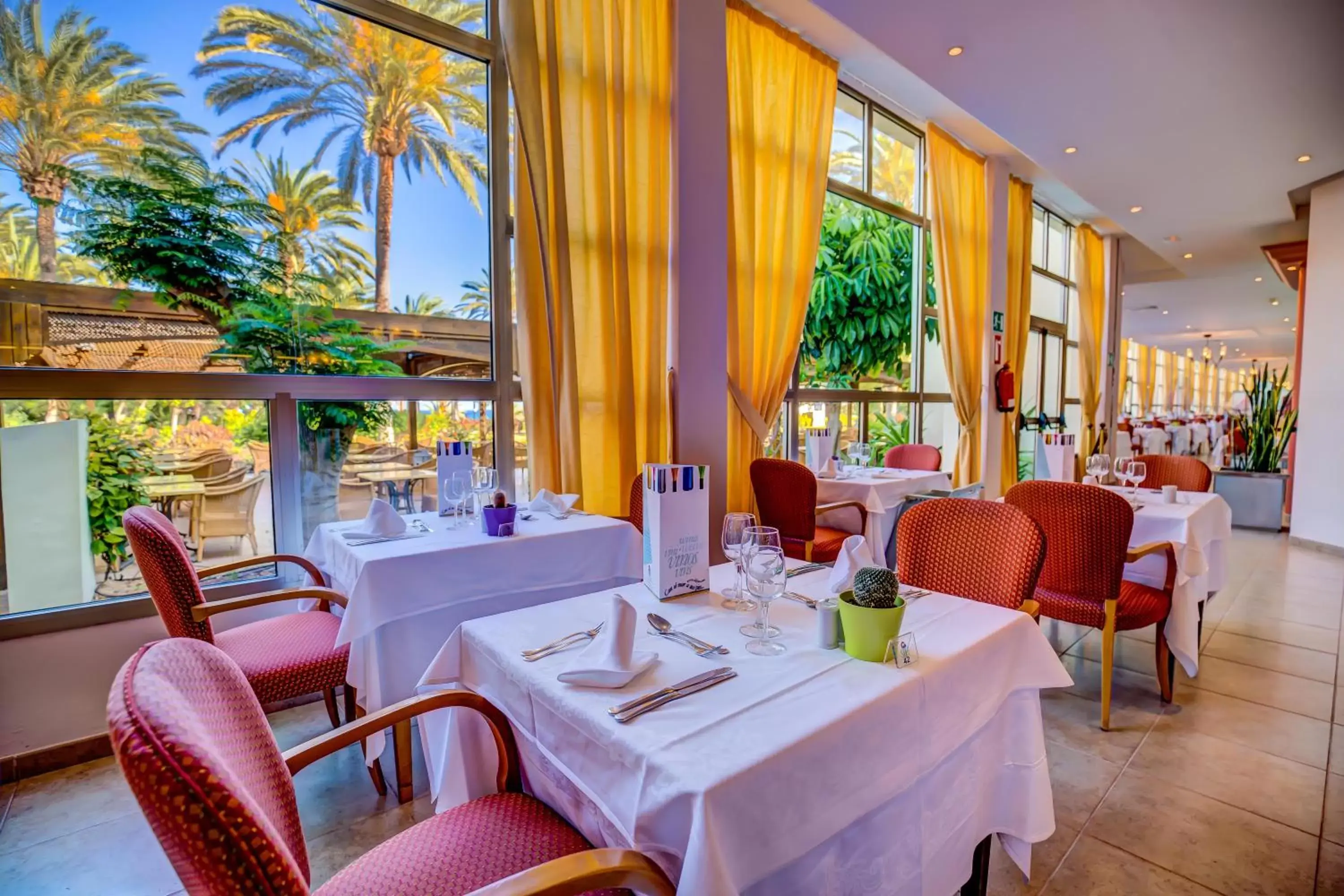 Food and drinks, Restaurant/Places to Eat in SBH Costa Calma Palace Thalasso & Spa