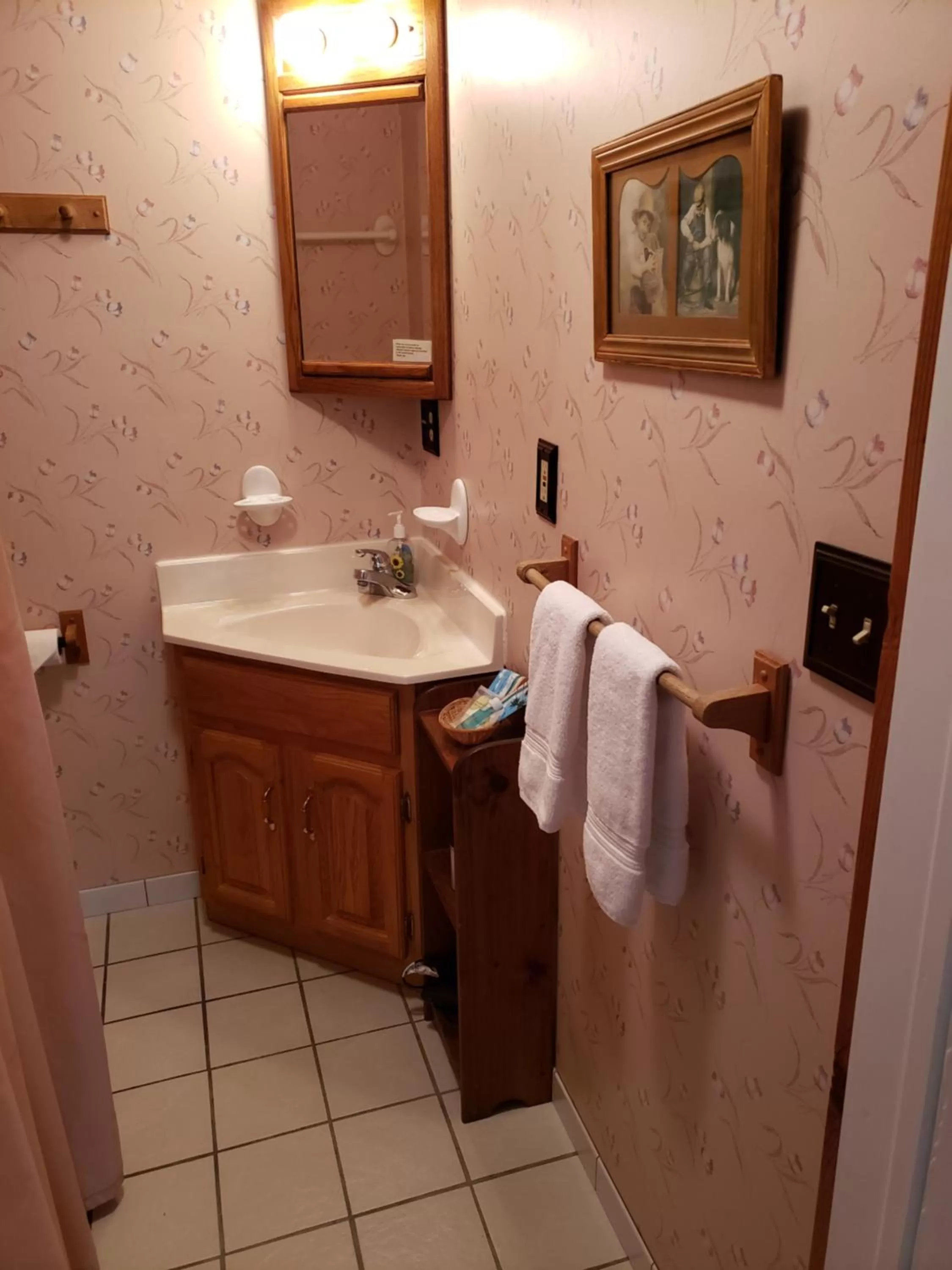 Toilet, Bathroom in Hudson Manor Bed & Breakfast