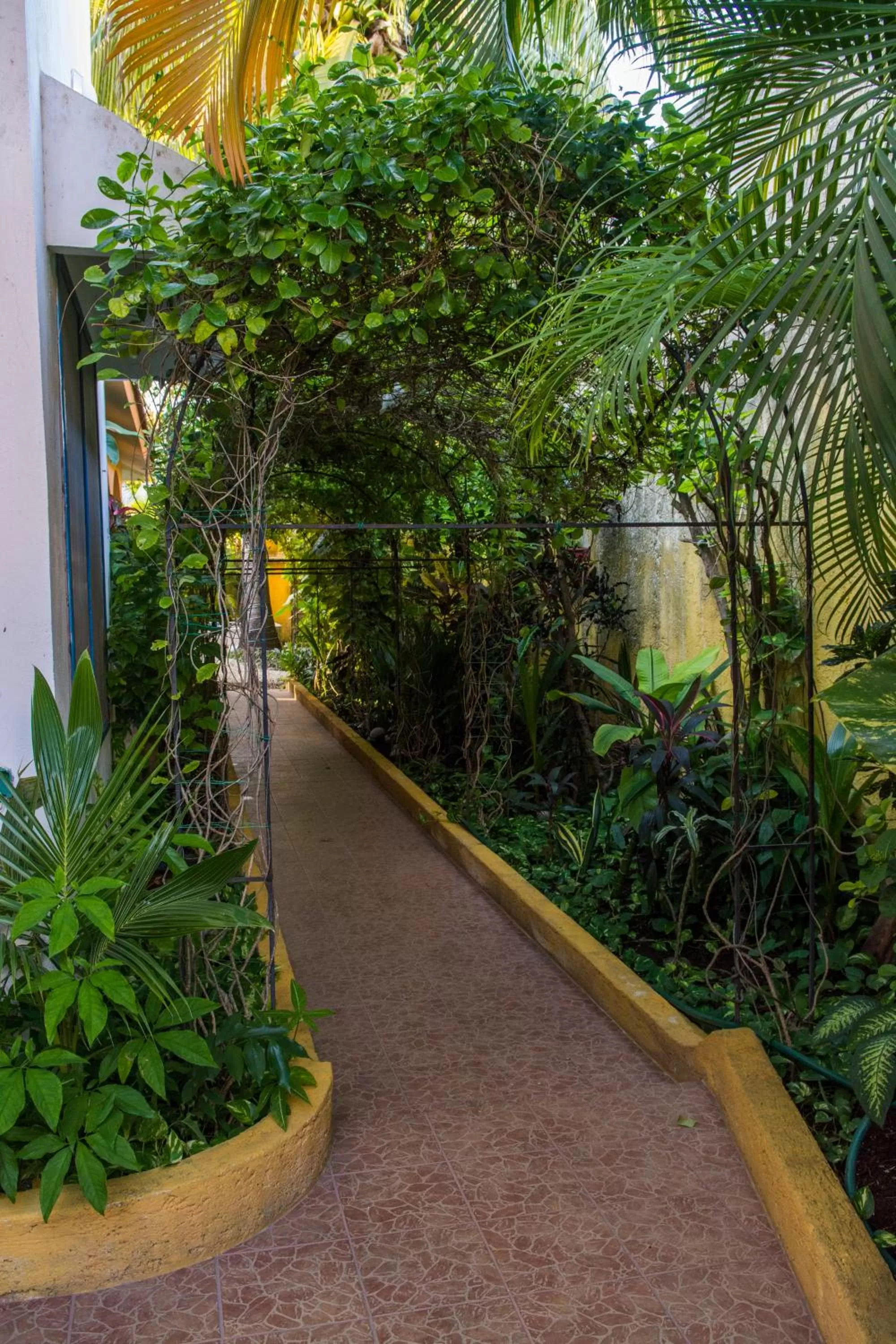 Garden in Hacienda Boutique B&B and Spa Solo Adultos