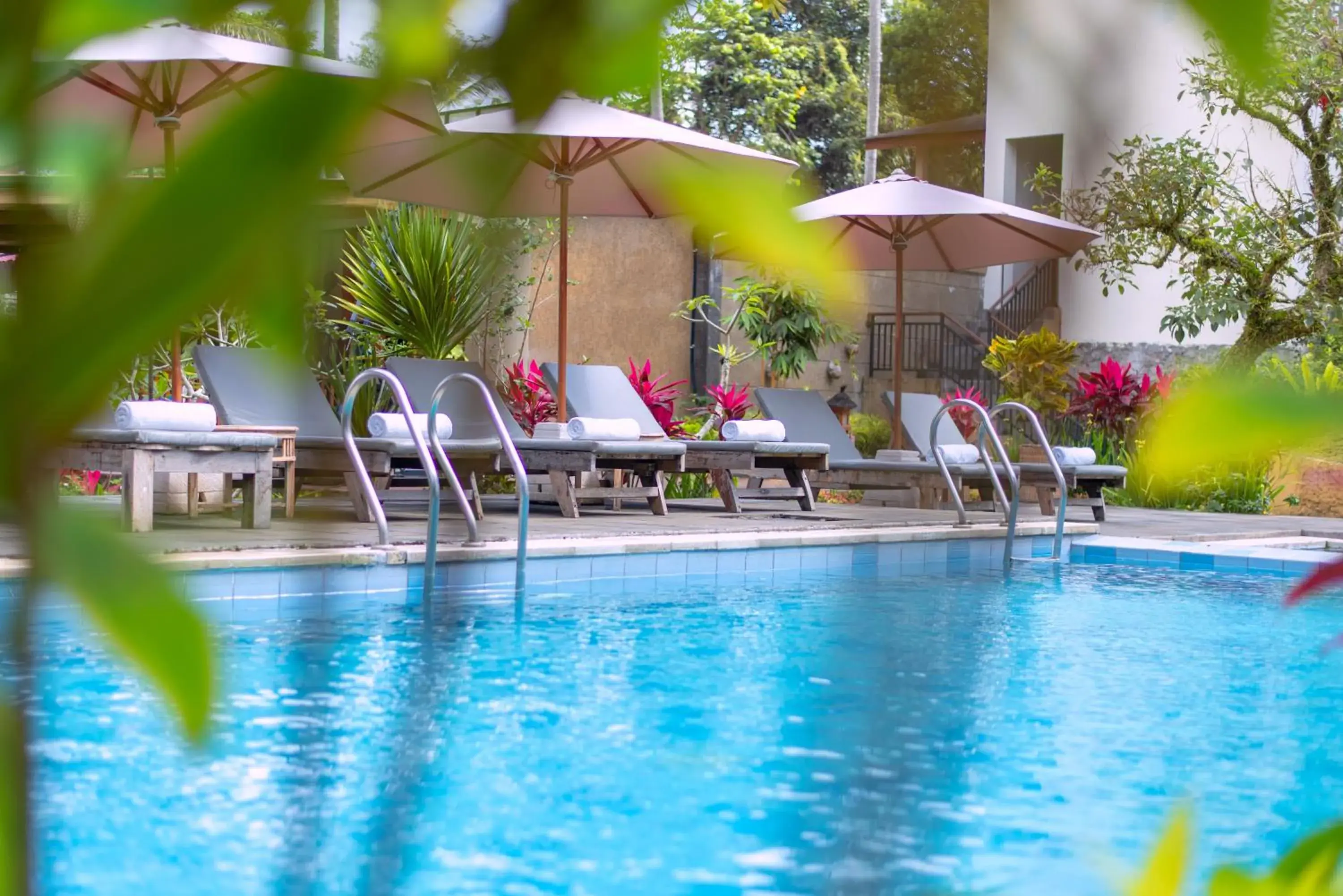 Swimming Pool in Ashoka Tree Resort at Tanggayuda
