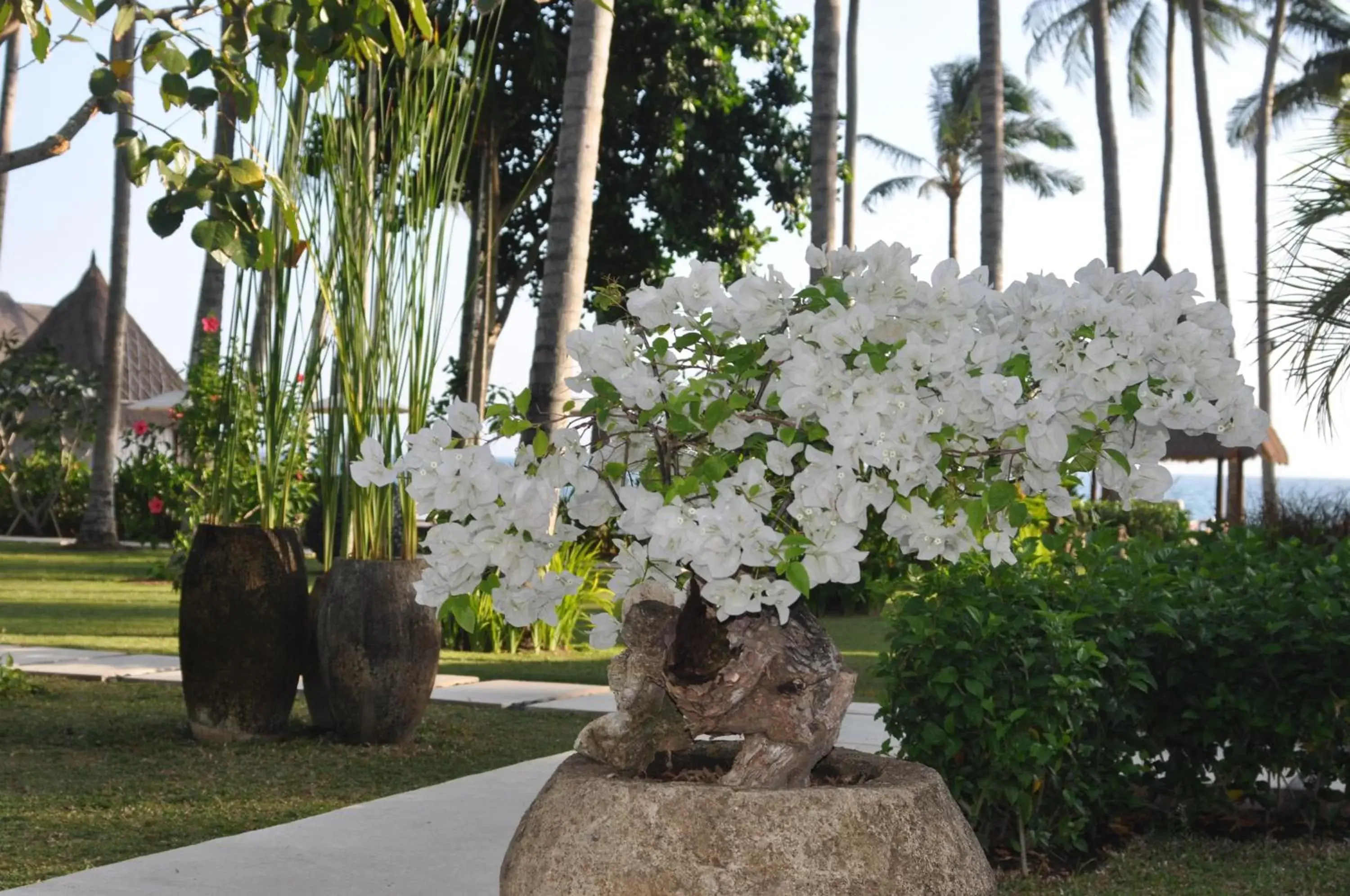 Garden in The Chandi Boutique Resort & Spa