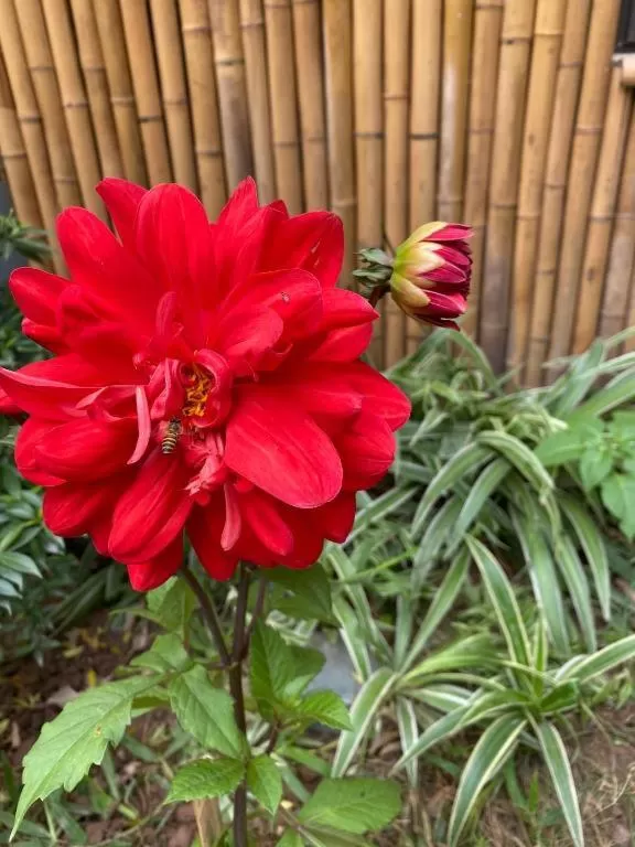 Trang An Moon Garden Homestay